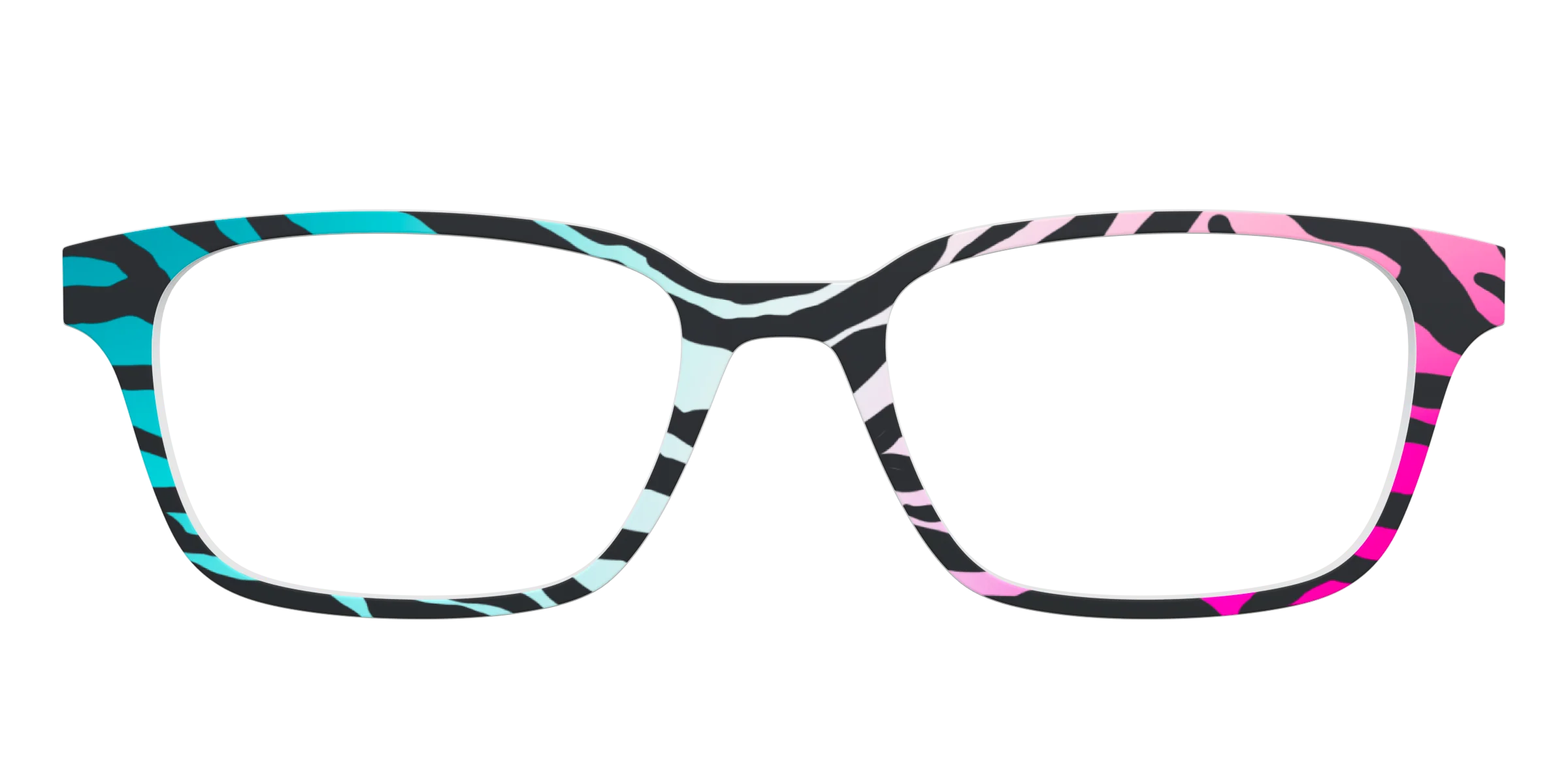 The Rainbow Zebra - Image 11