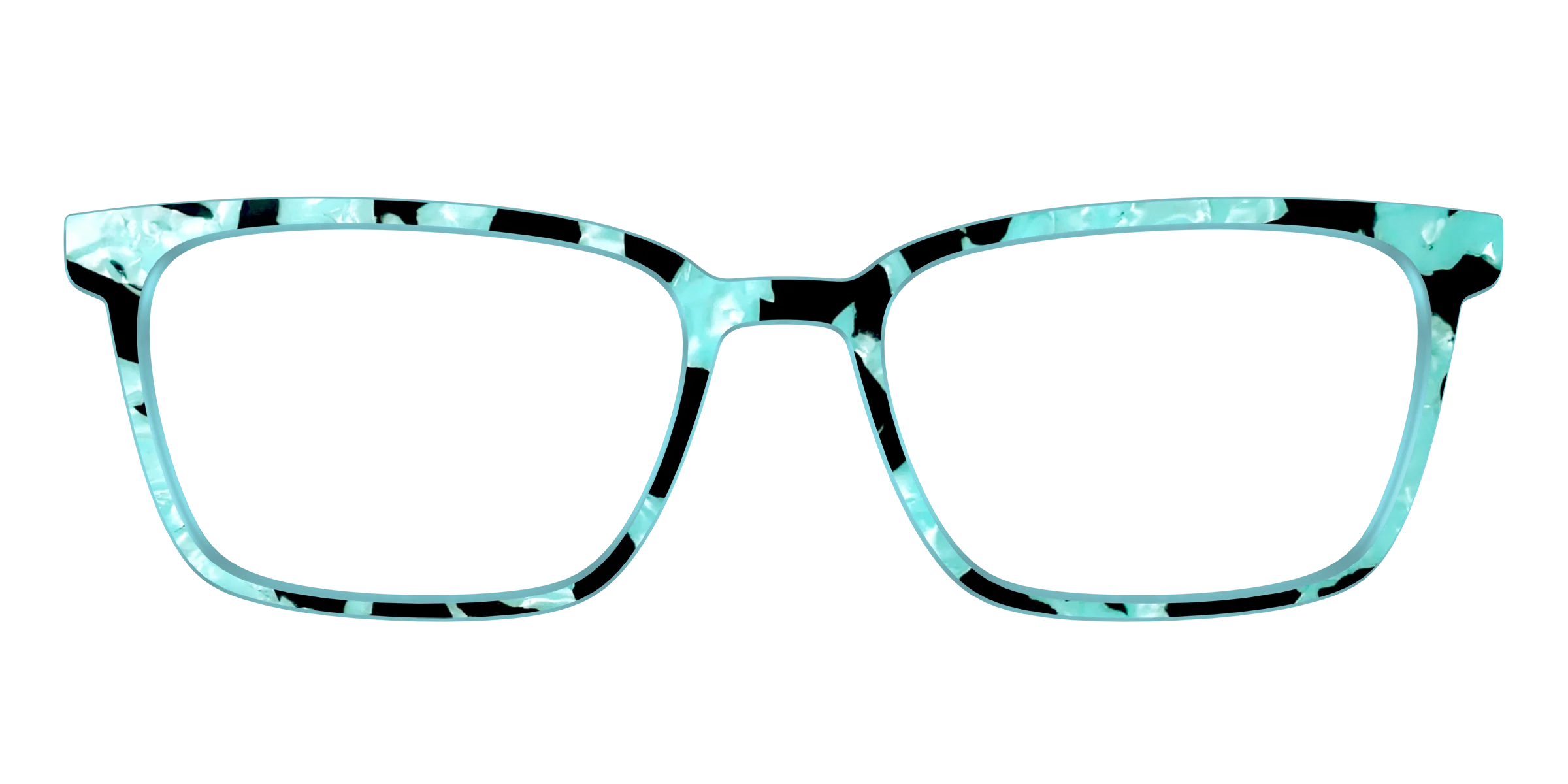 The Robin's Egg Pearl Tortoise - Image 45