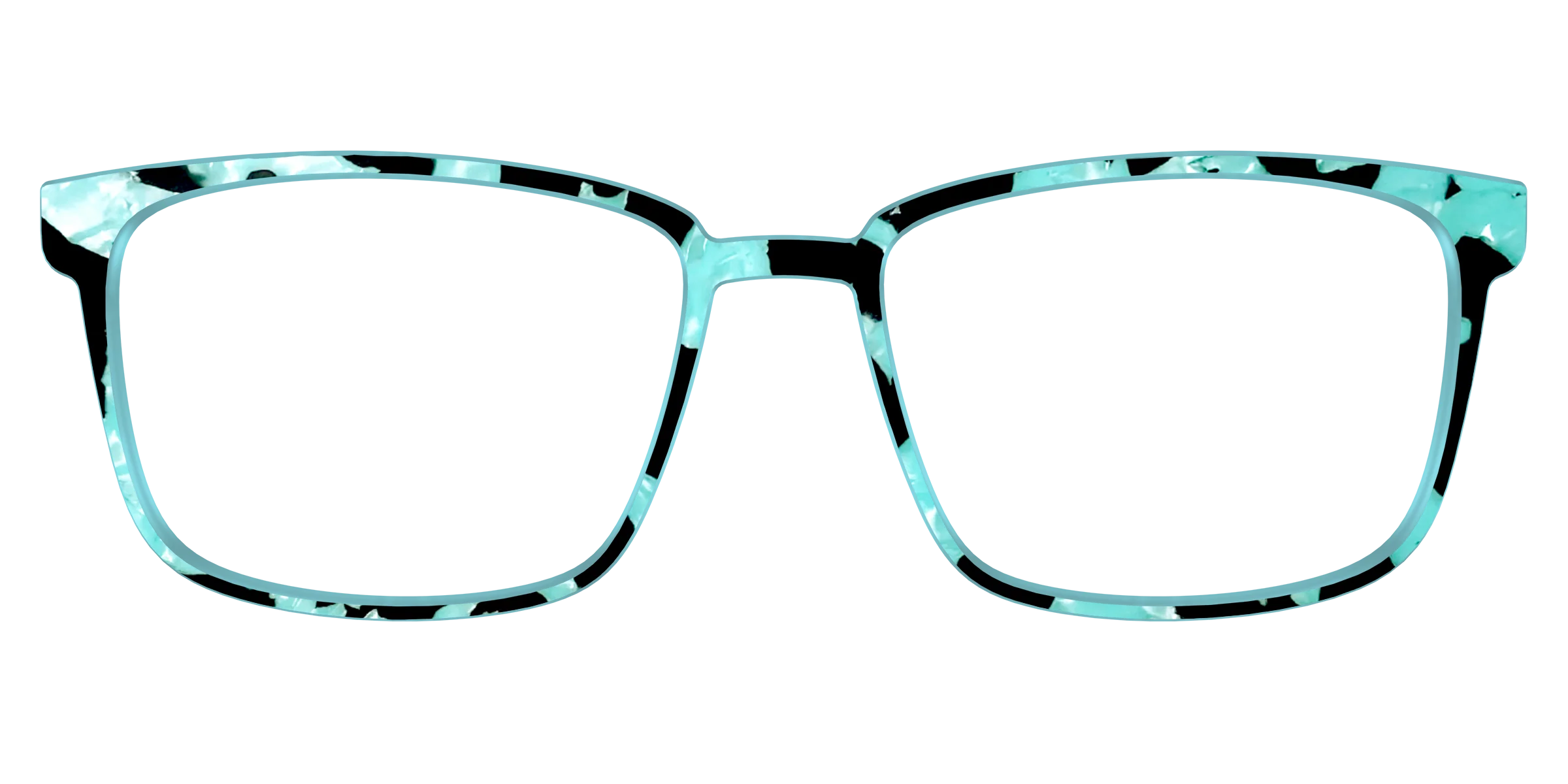 The Robin's Egg Pearl Tortoise - Image 49