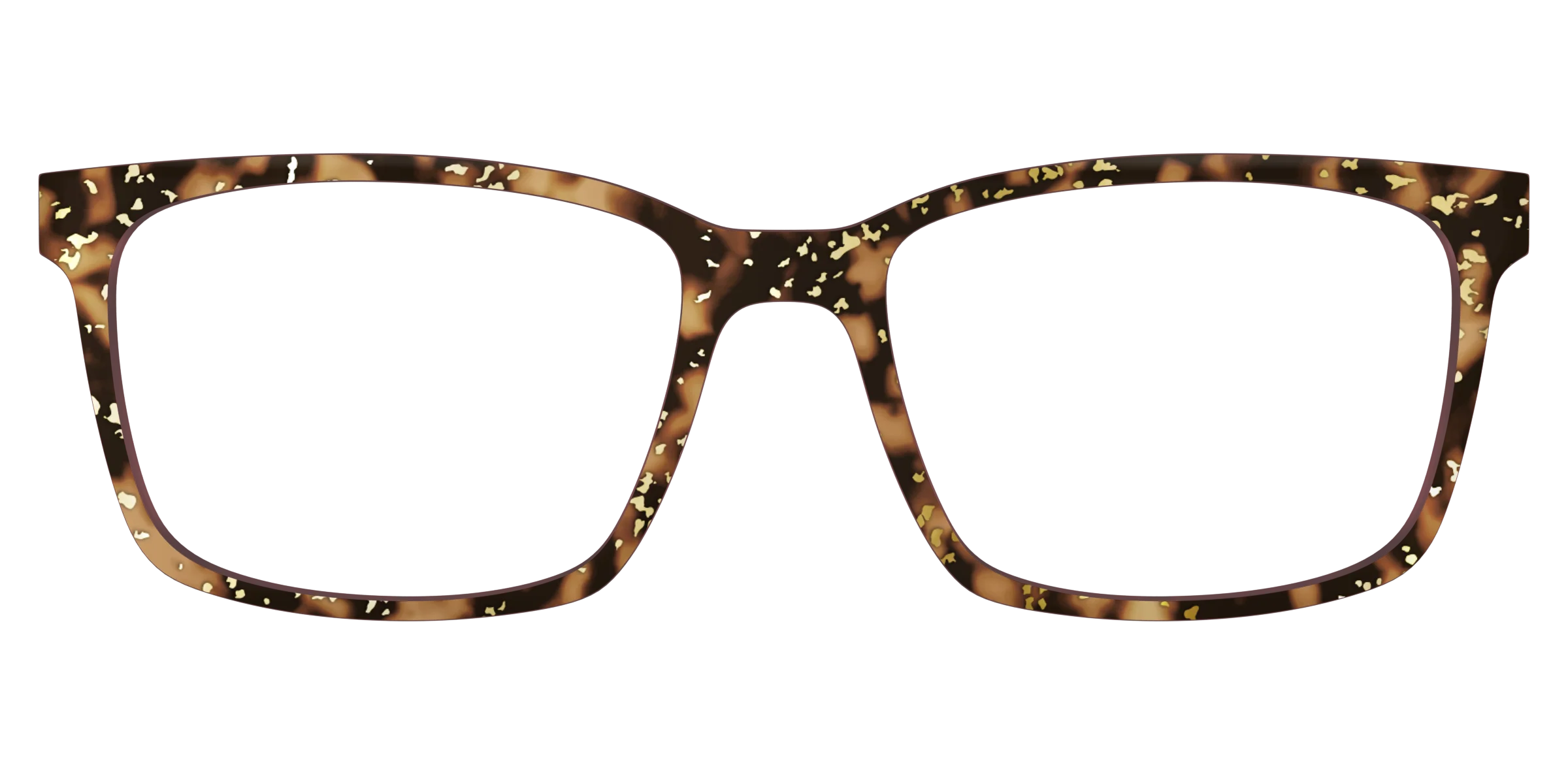 The Sandalwood Tortoise with Gold Foil - Image 11