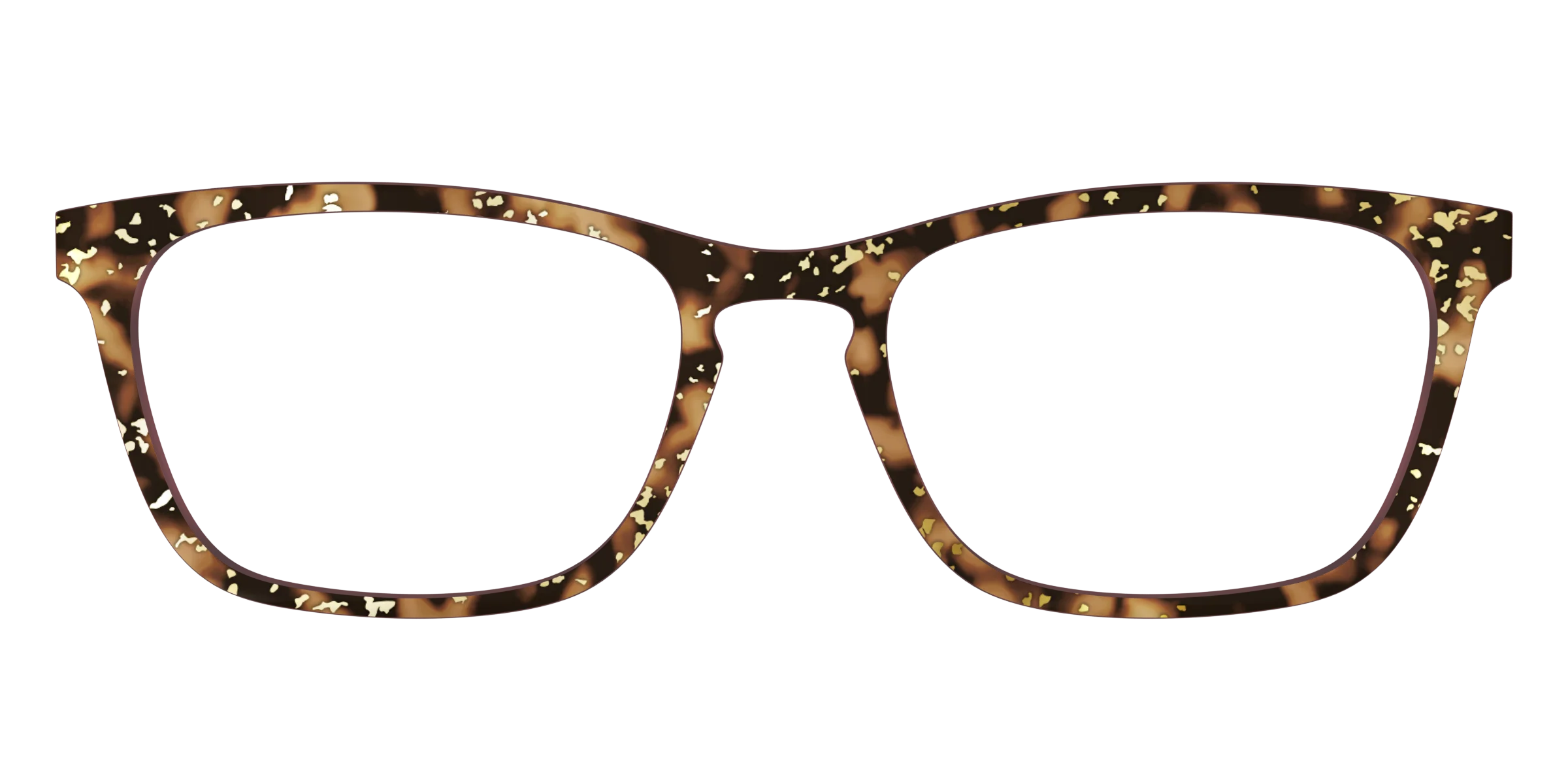 The Sandalwood Tortoise with Gold Foil - Image 13