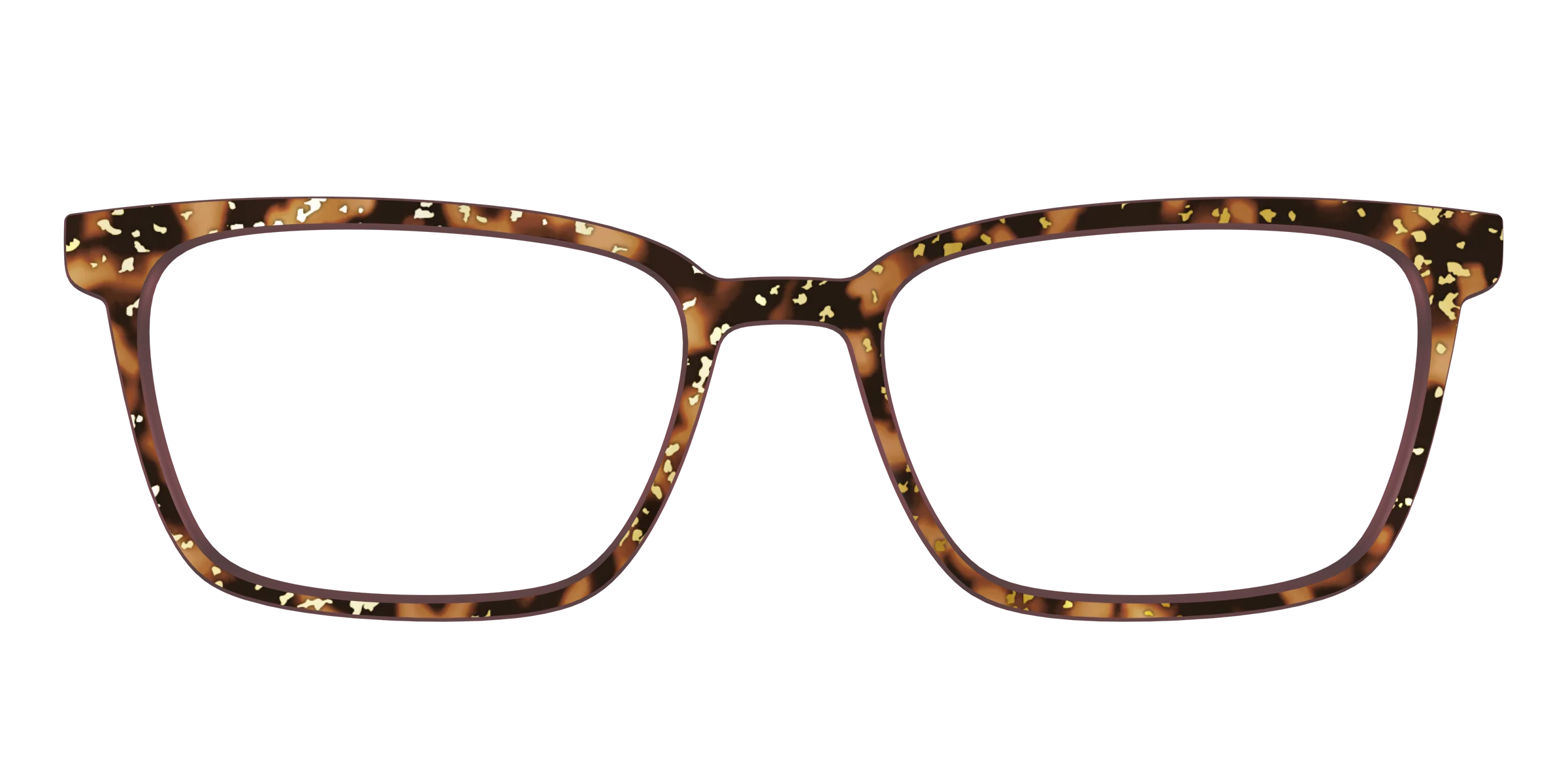 The Sandalwood Tortoise with Gold Foil - Image 45