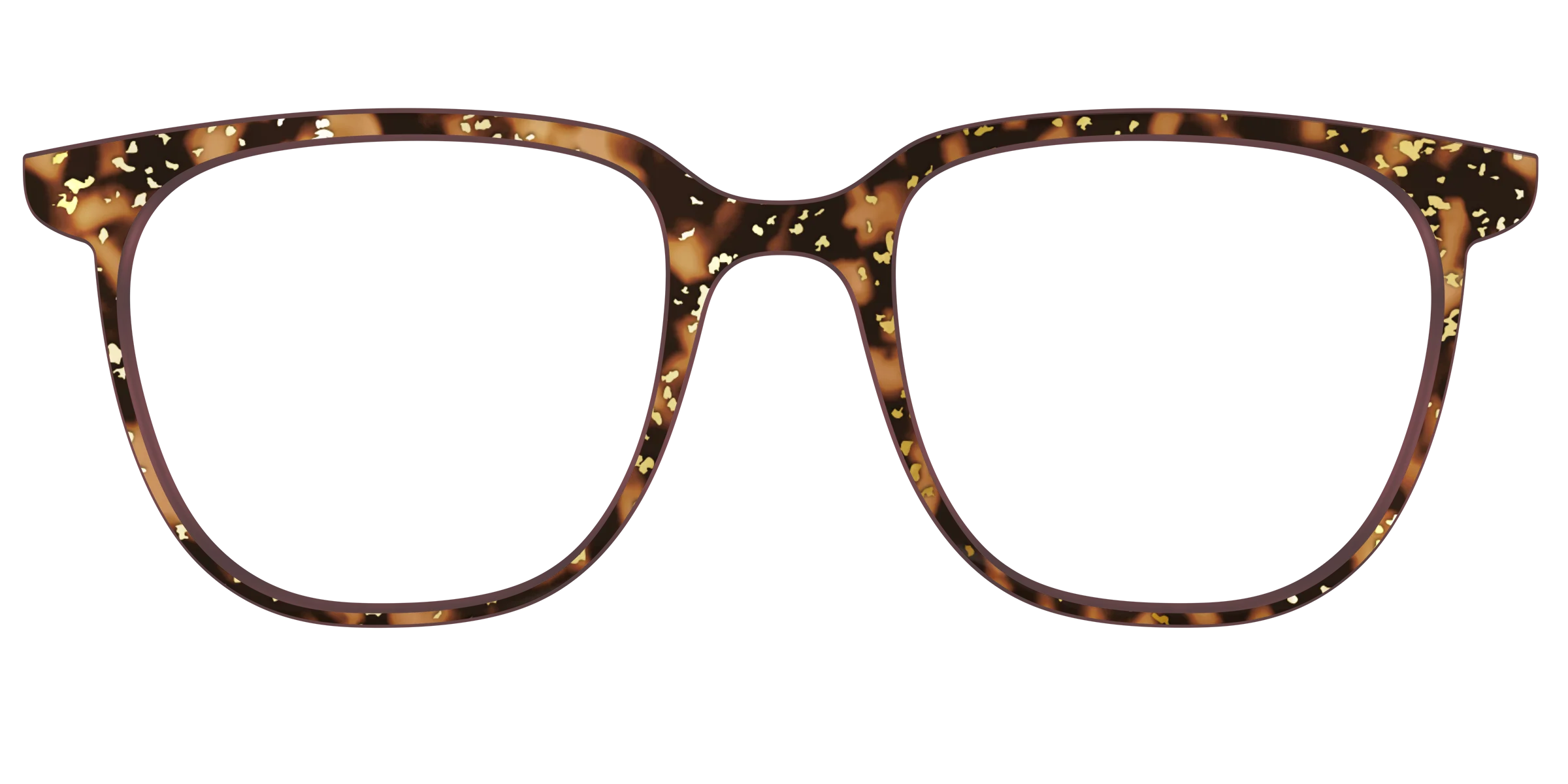The Sandalwood Tortoise with Gold Foil - Image 47