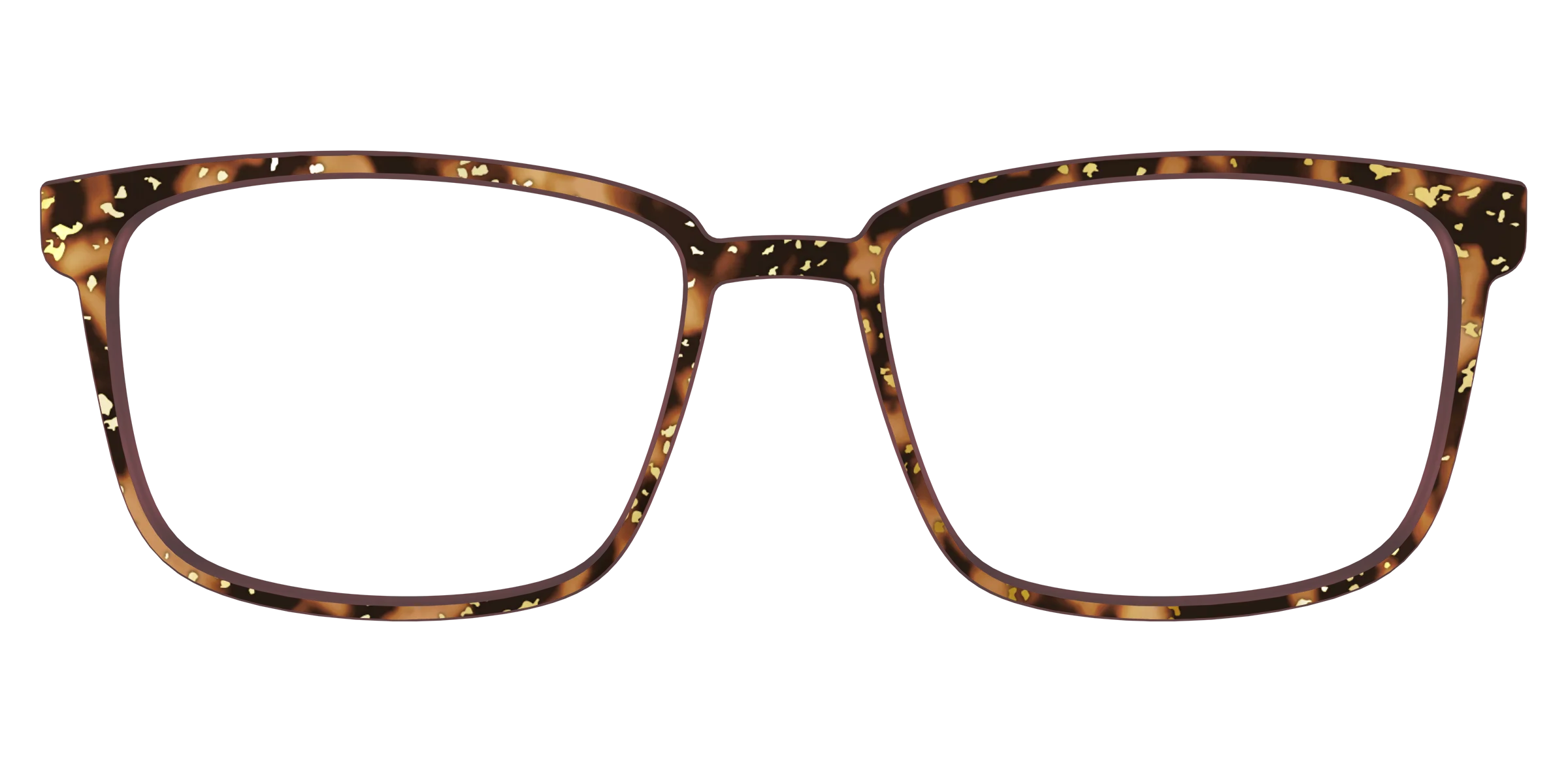 The Sandalwood Tortoise with Gold Foil - Image 49
