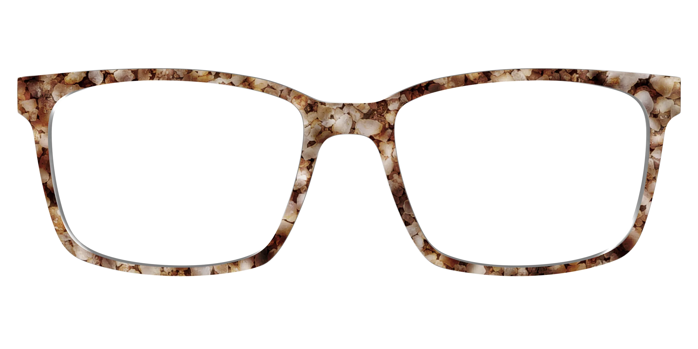 The Sandstone Tortoise - Image 11