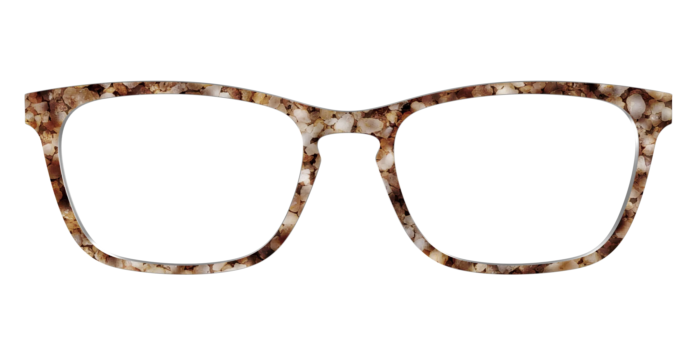 The Sandstone Tortoise - Image 13