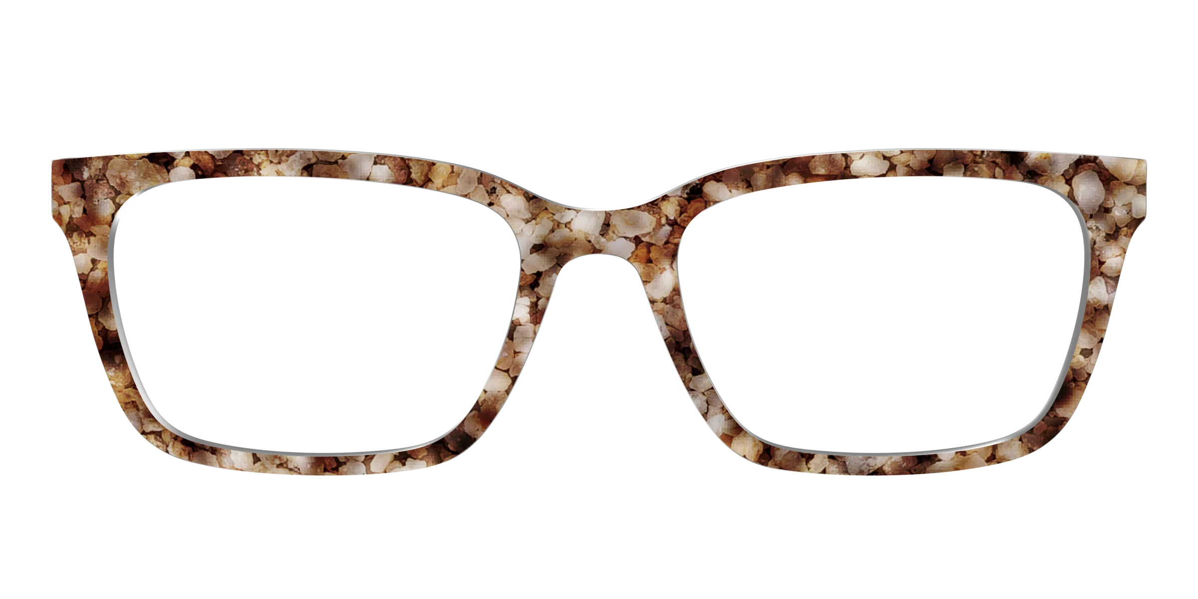 The Sandstone Tortoise - Image 9