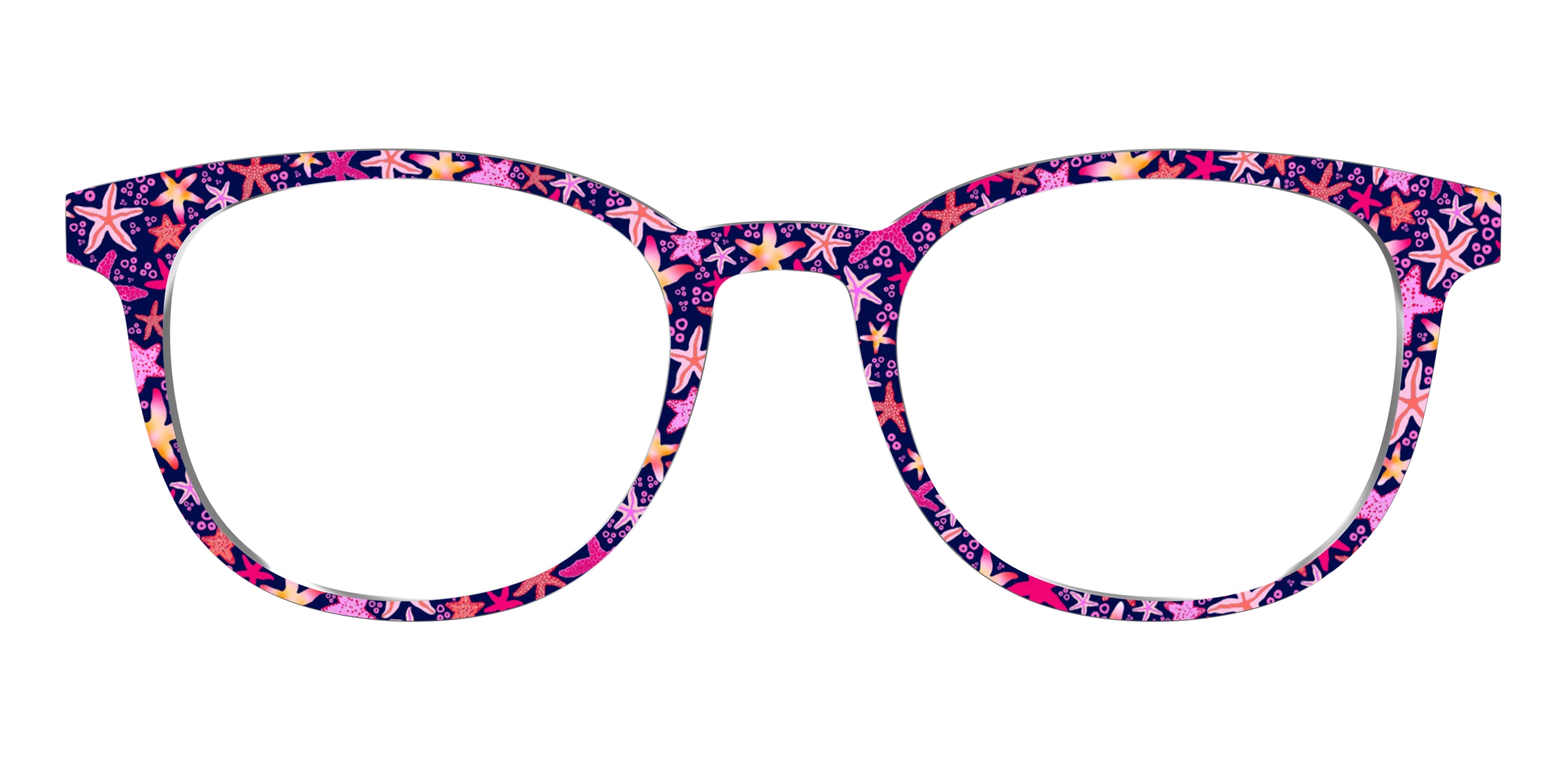 The Sensational Starfish - Image 15