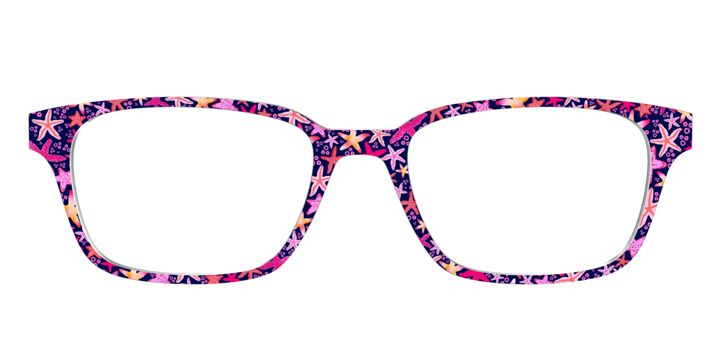 The Sensational Starfish - Image 21