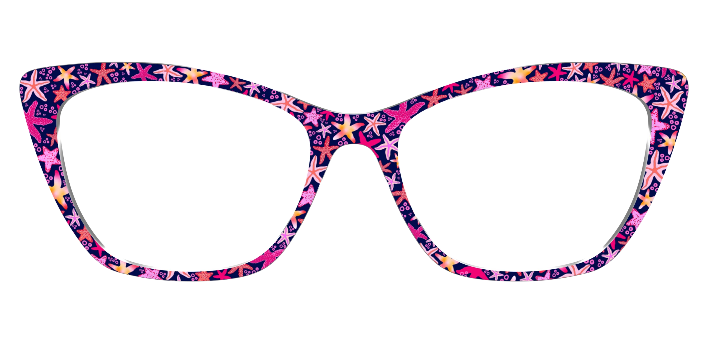 The Sensational Starfish - Image 25