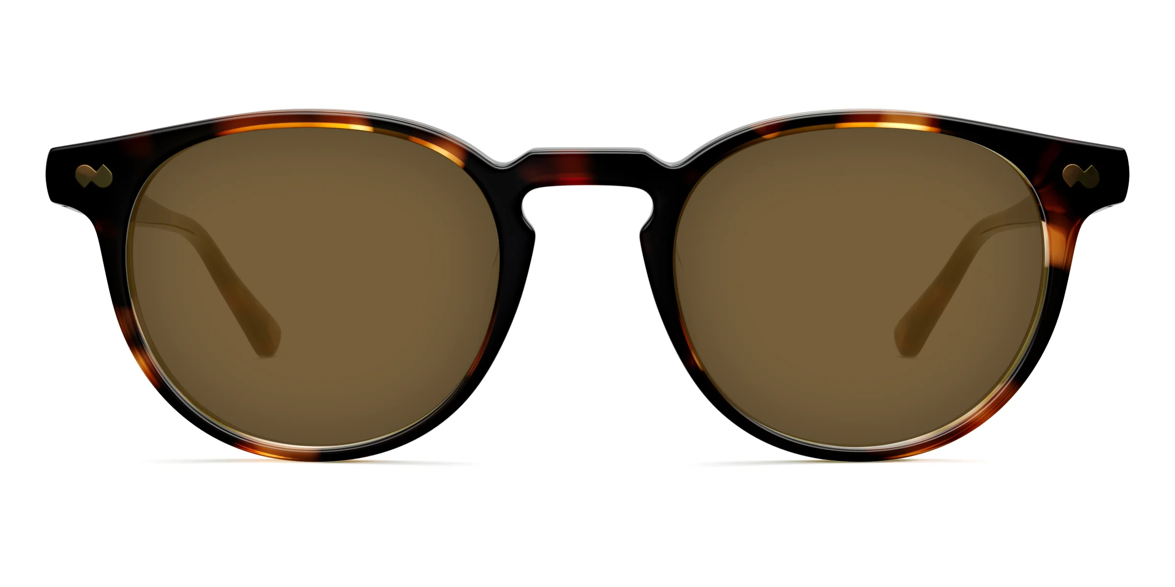 The Soto - Tortoise Sun - Image 2