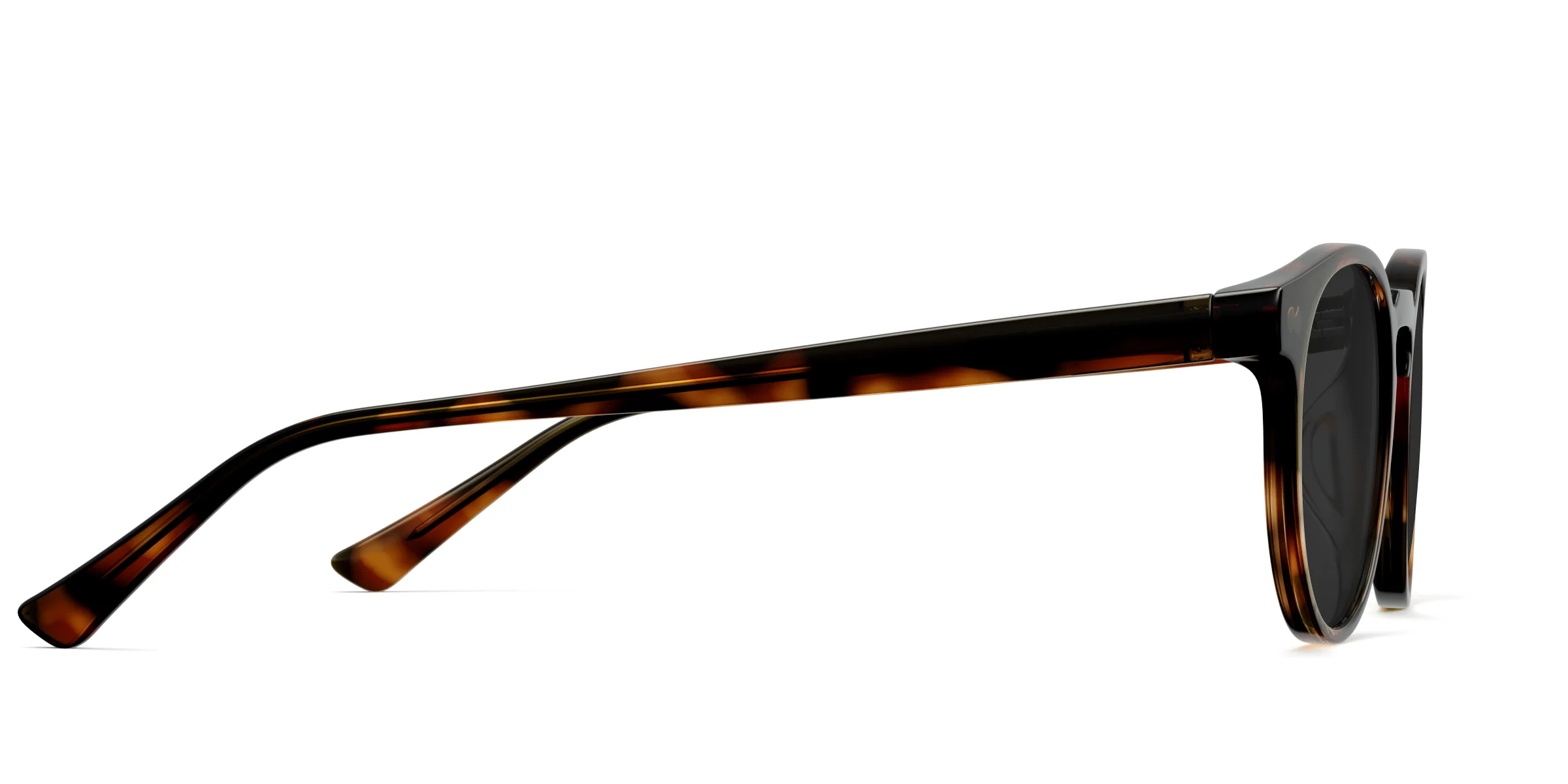 The Soto - Tortoise Sun - Image 5