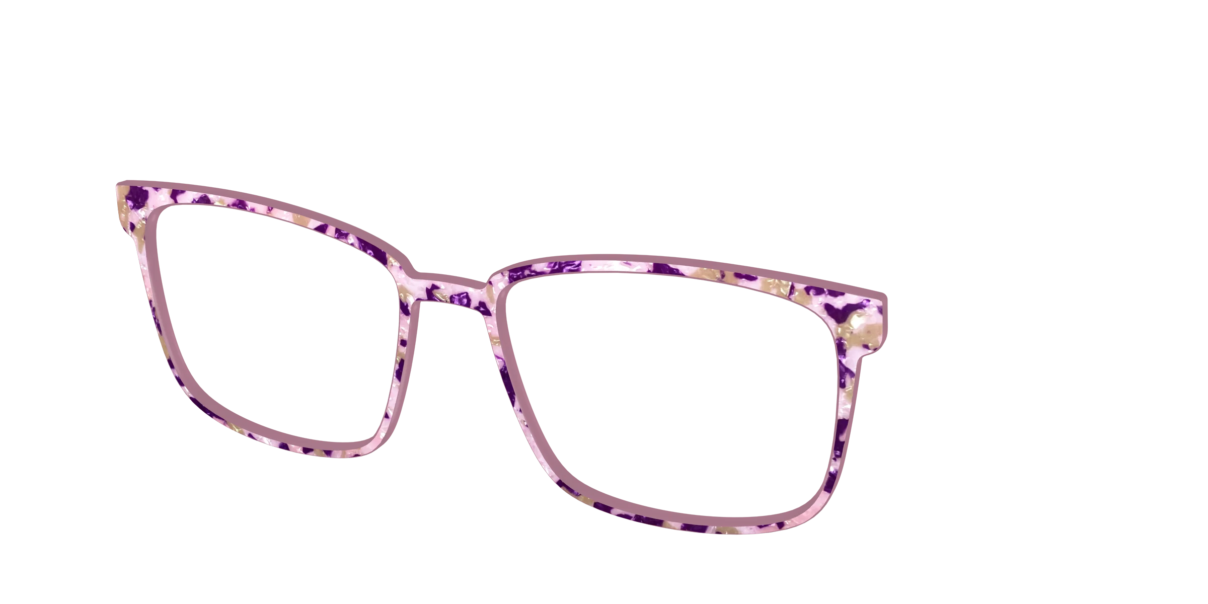 The Spotted Thistle Pearl Tortoise - Image 50