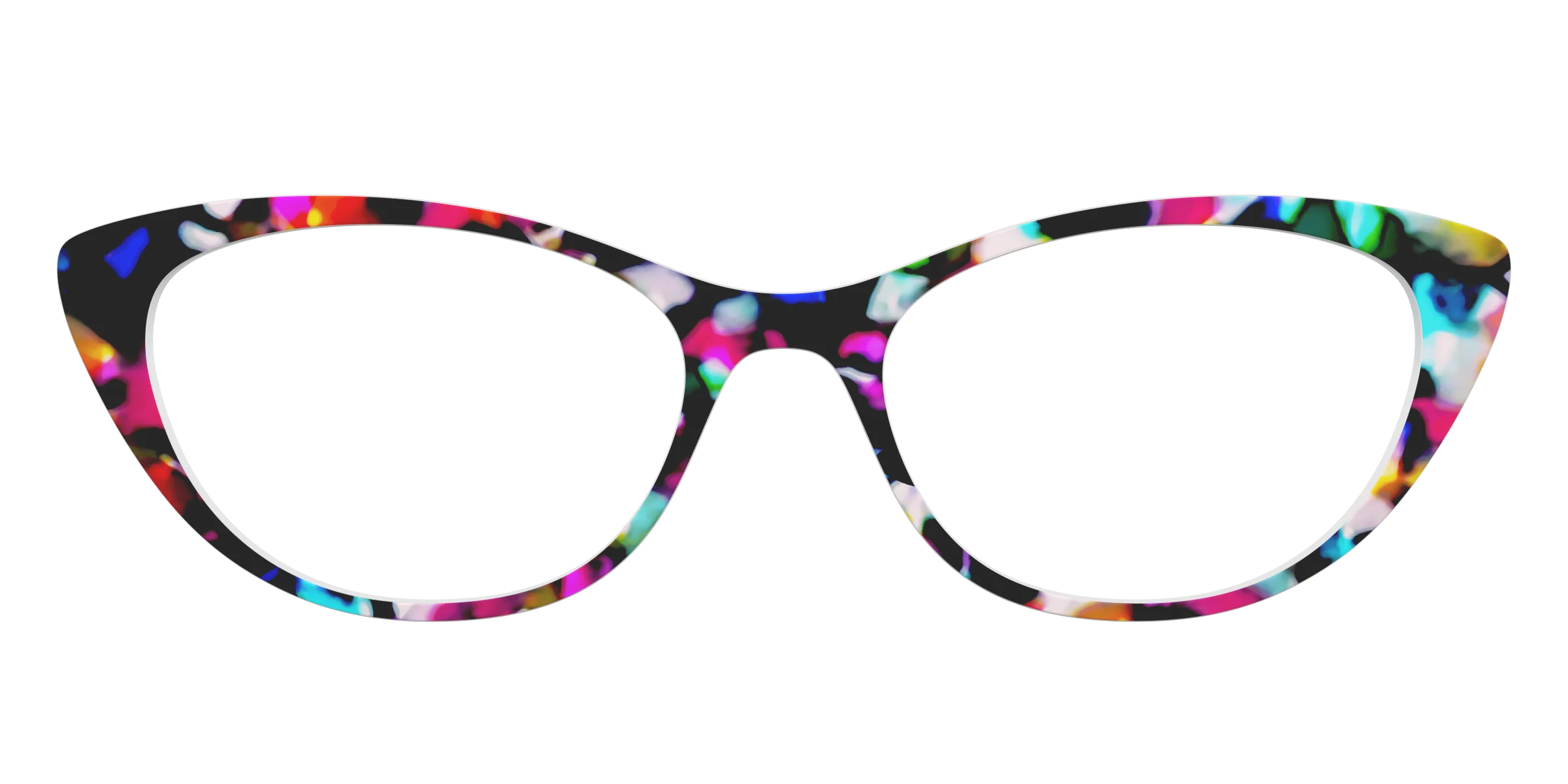 The Technicolor Tortoise - Image 23