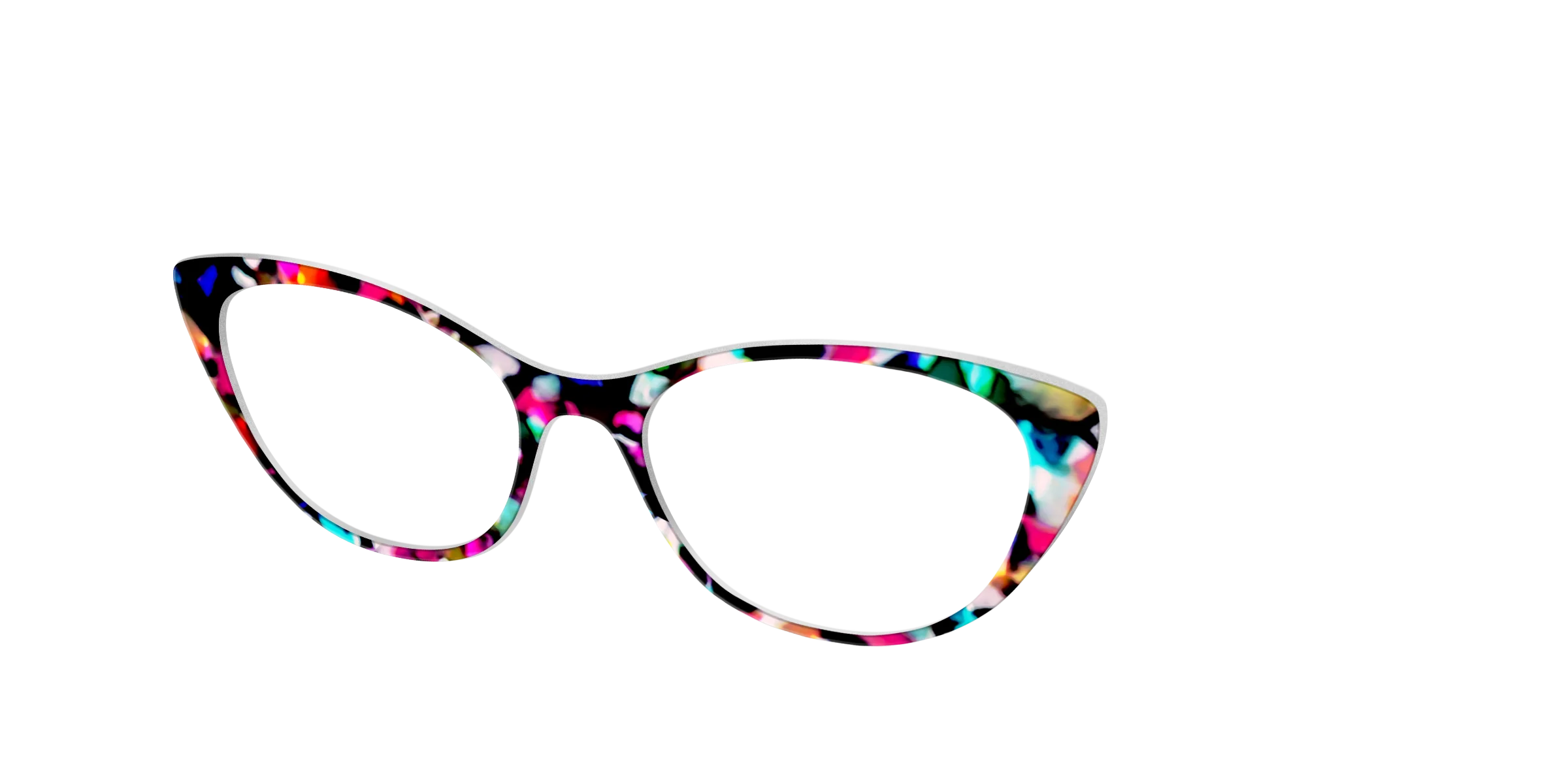 The Technicolor Tortoise - Image 24