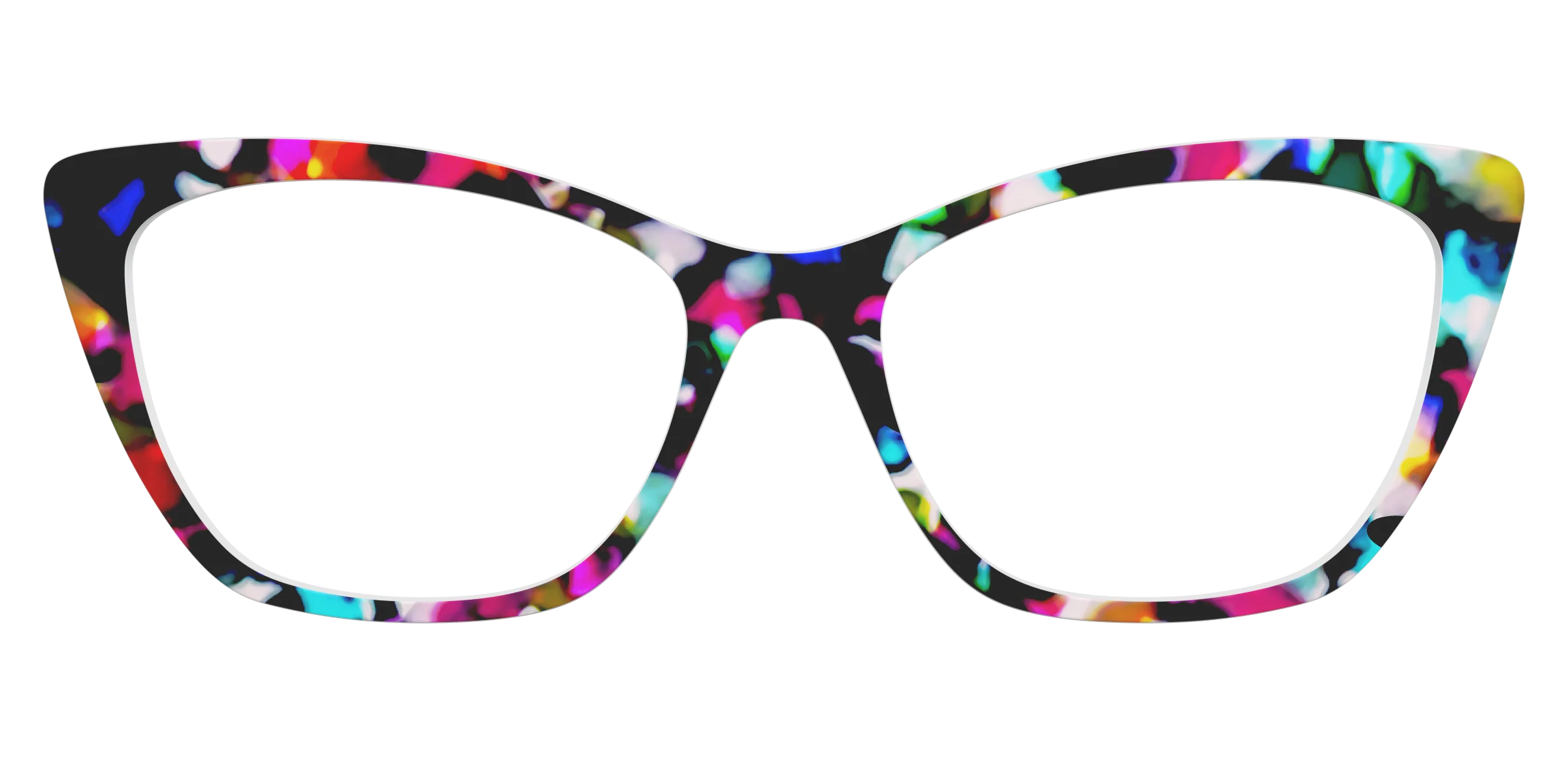 The Technicolor Tortoise - Image 25
