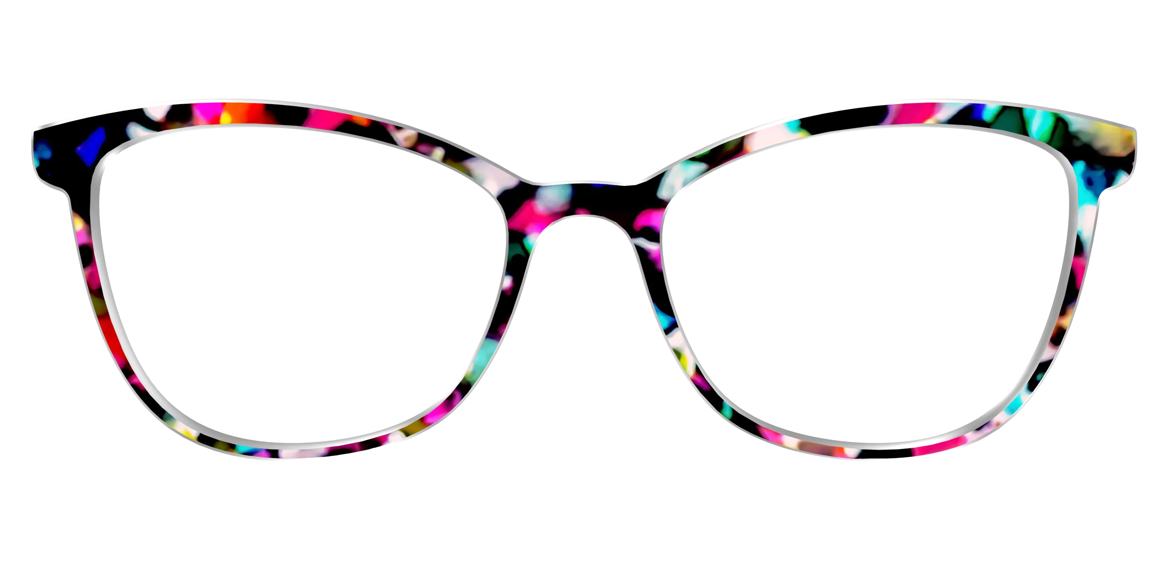 The Technicolor Tortoise - Image 66