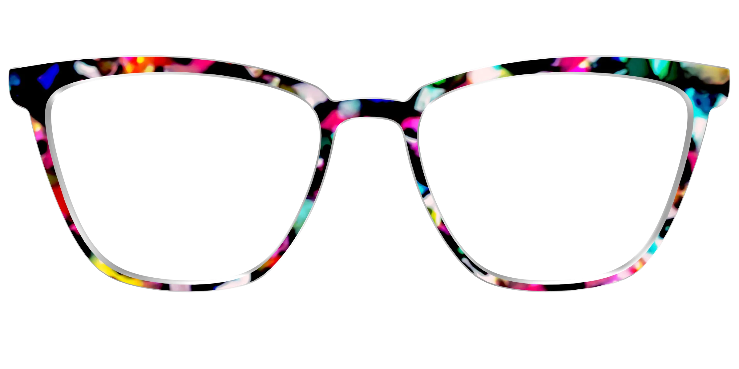 The Technicolor Tortoise - Image 70