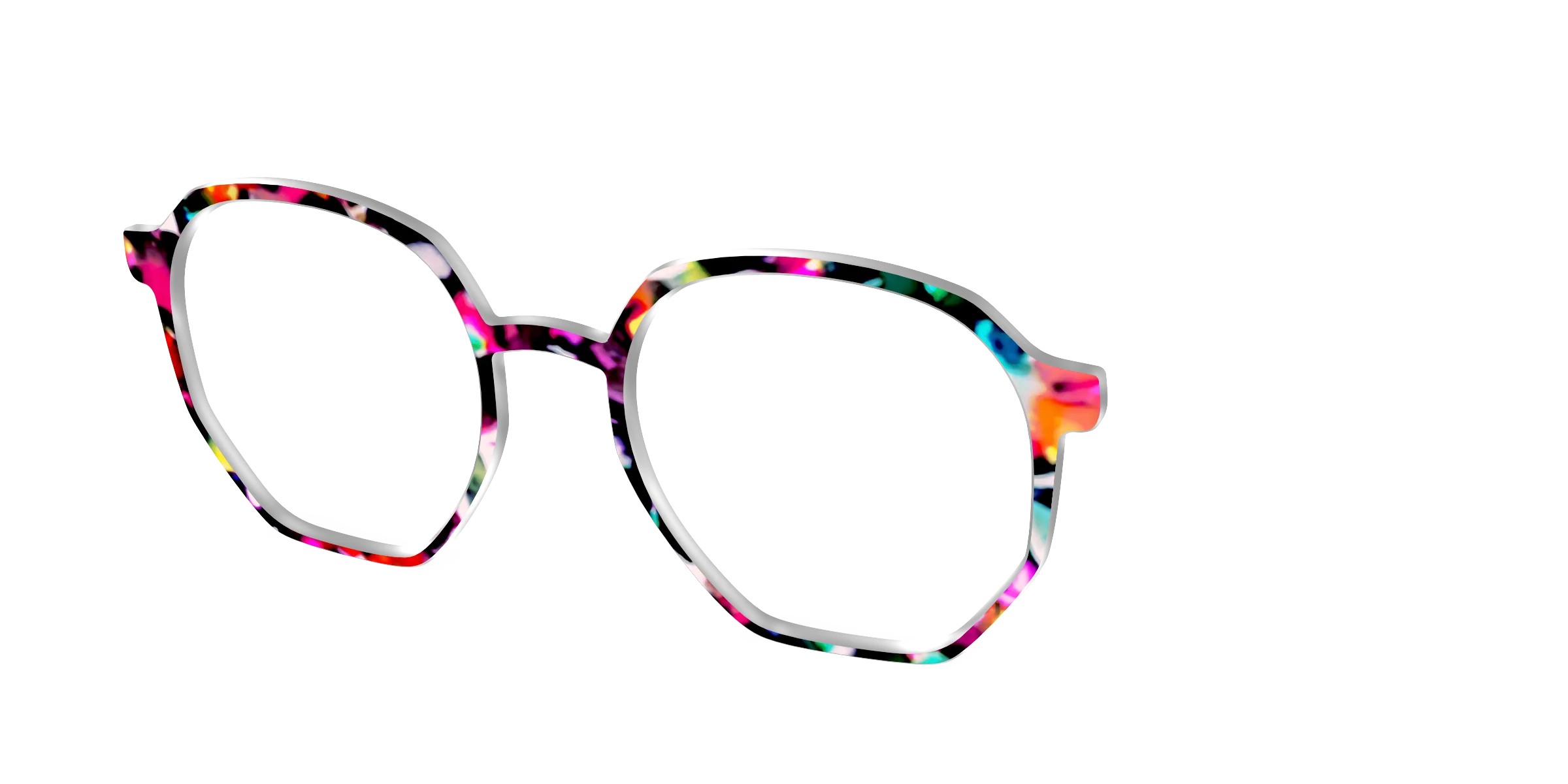 The Technicolor Tortoise - Image 73