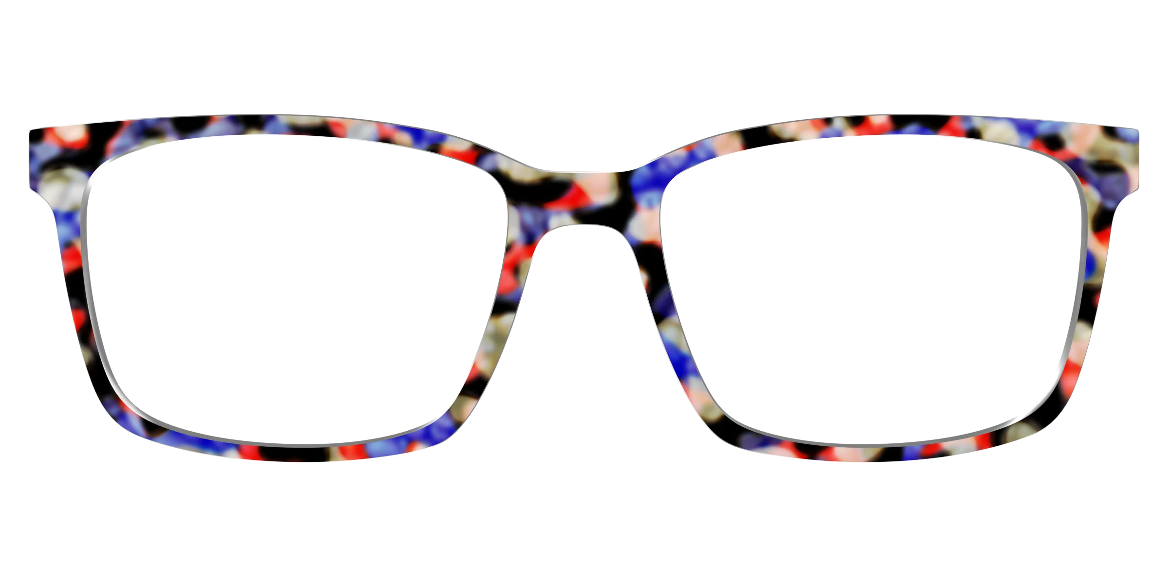 The Tempo Tortoise - Image 11
