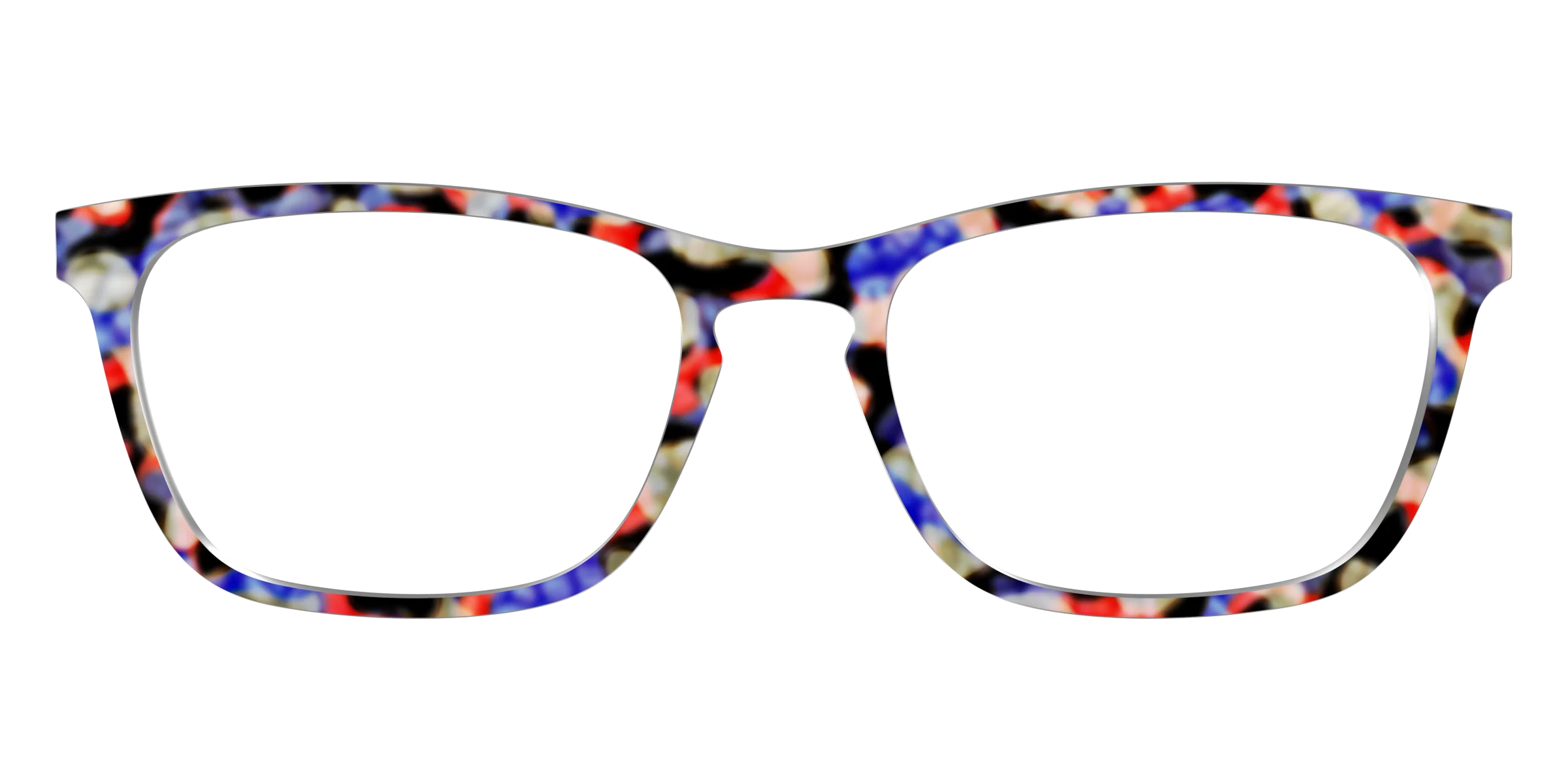The Tempo Tortoise - Image 13