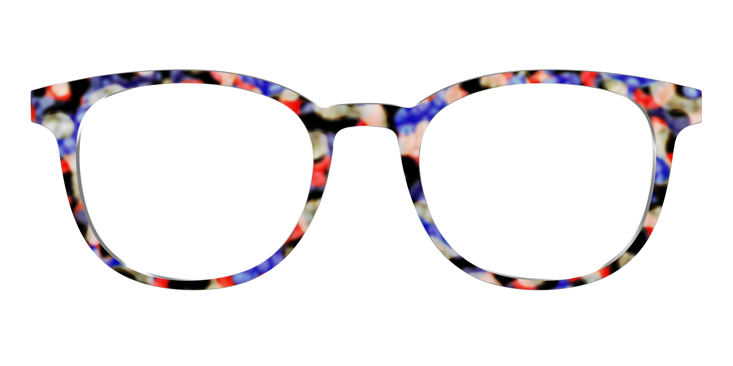 The Tempo Tortoise - Image 15