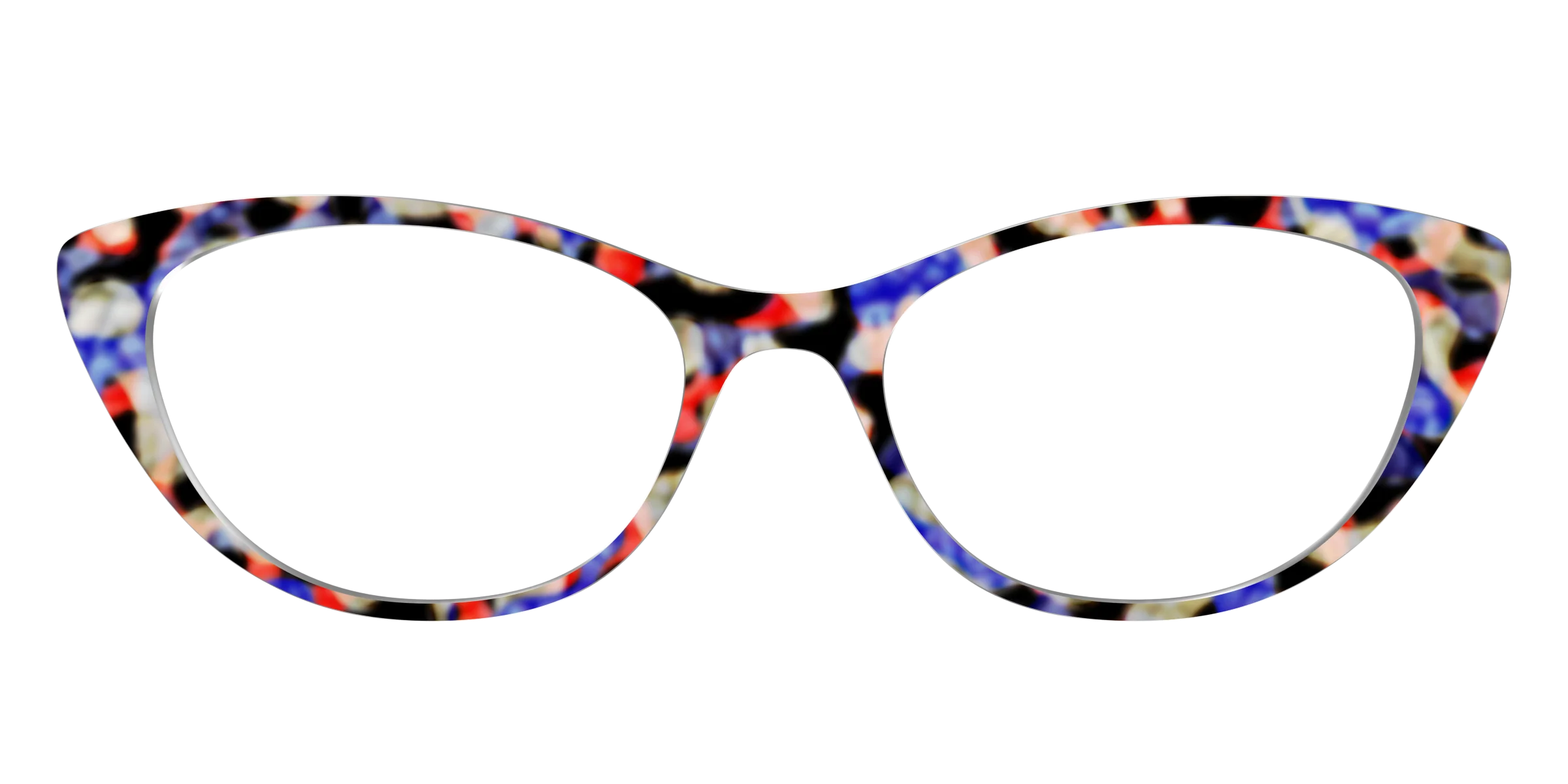 The Tempo Tortoise - Image 23