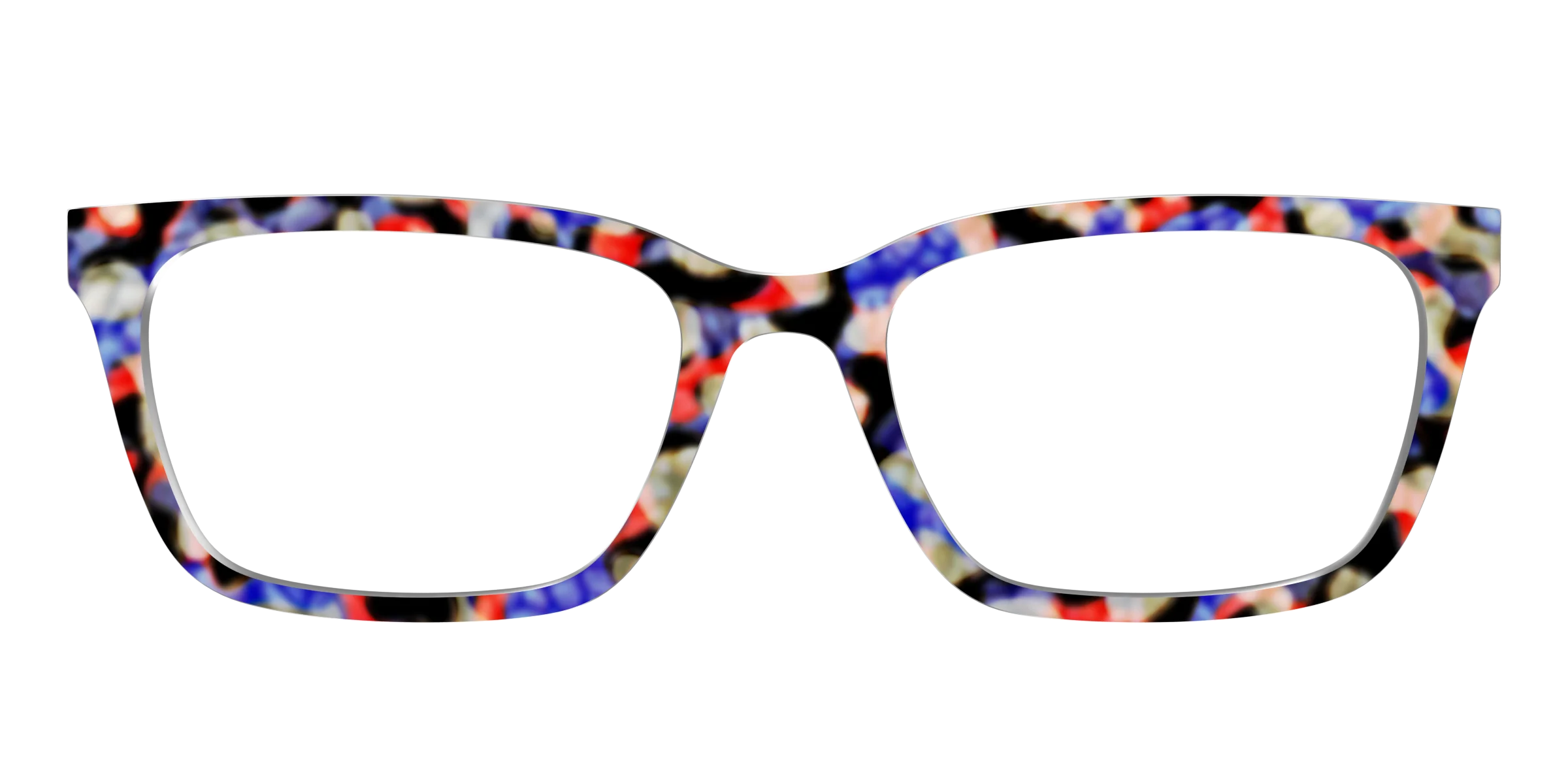 The Tempo Tortoise - Image 9