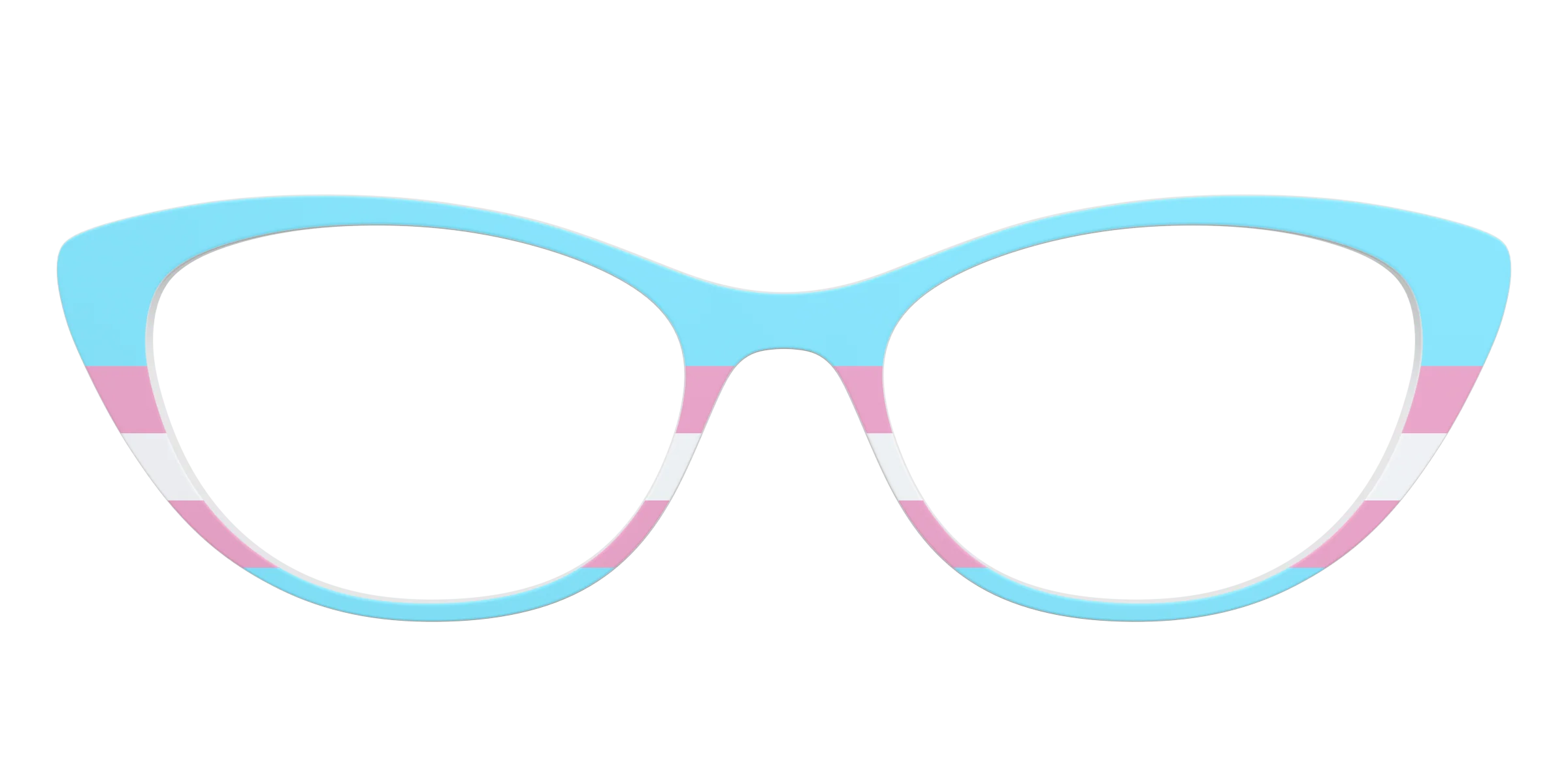 The Transgender Flag - Image 23