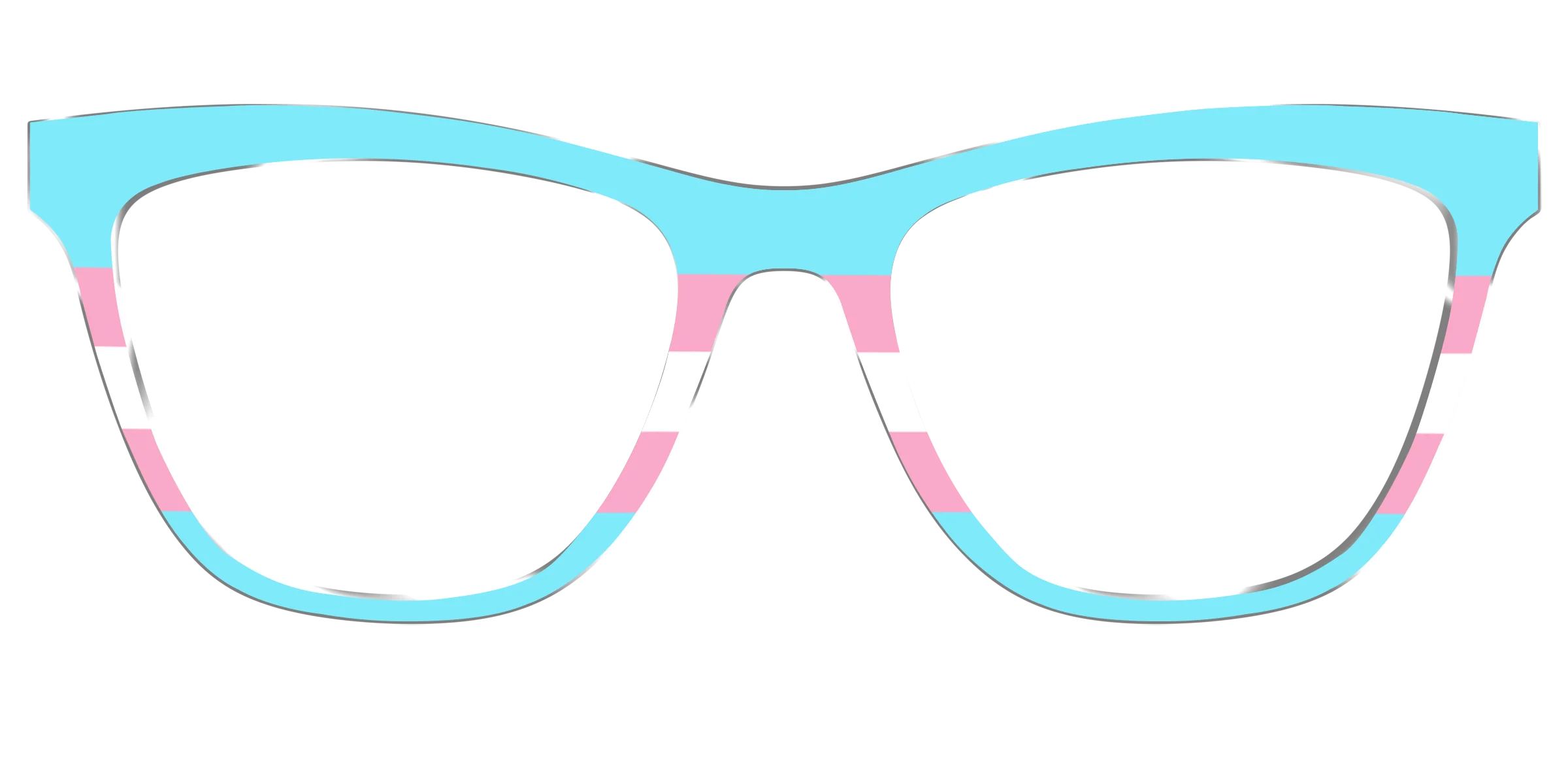 The Transgender Flag - Image 29