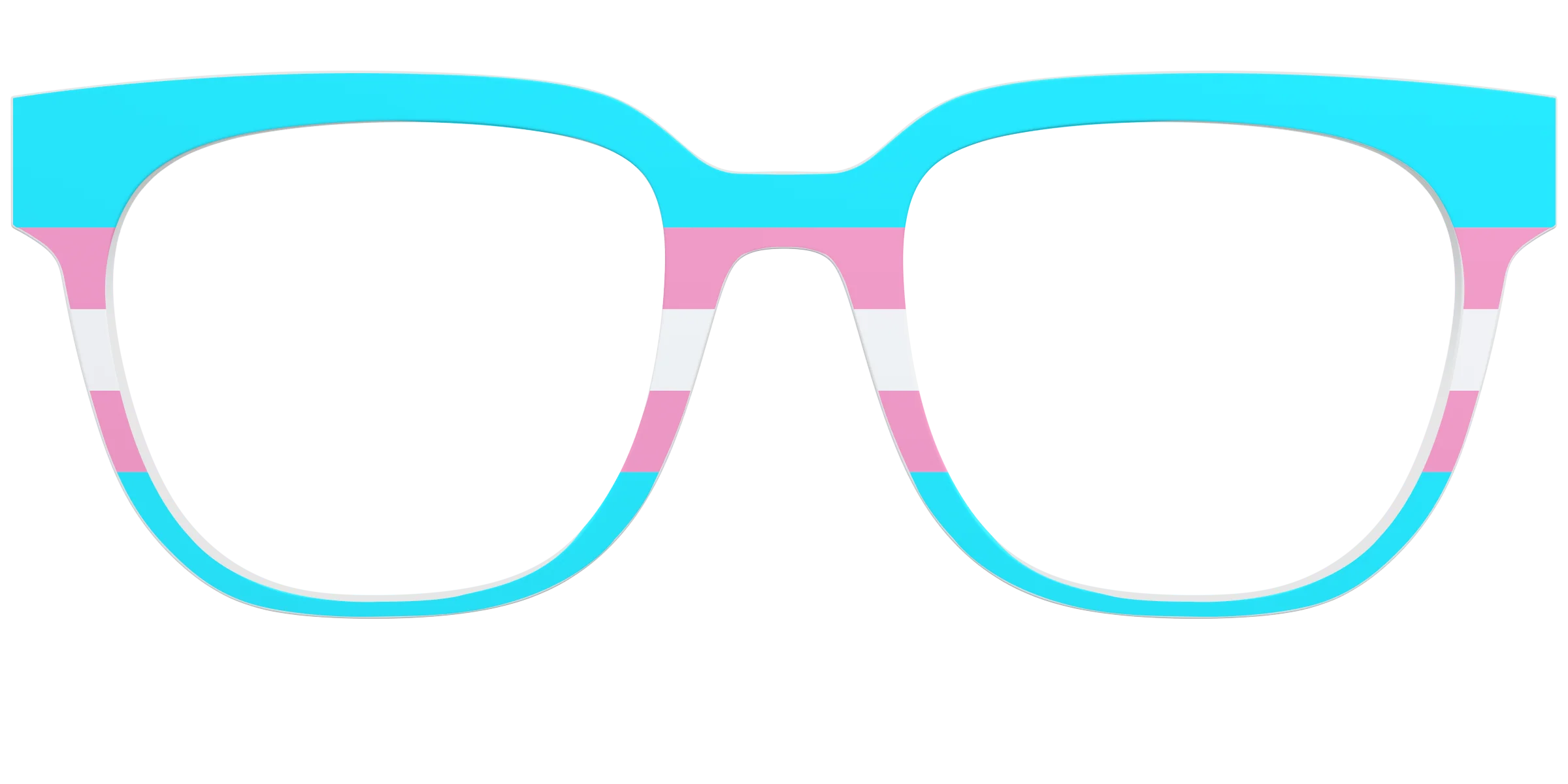 The Transgender Flag - Image 31