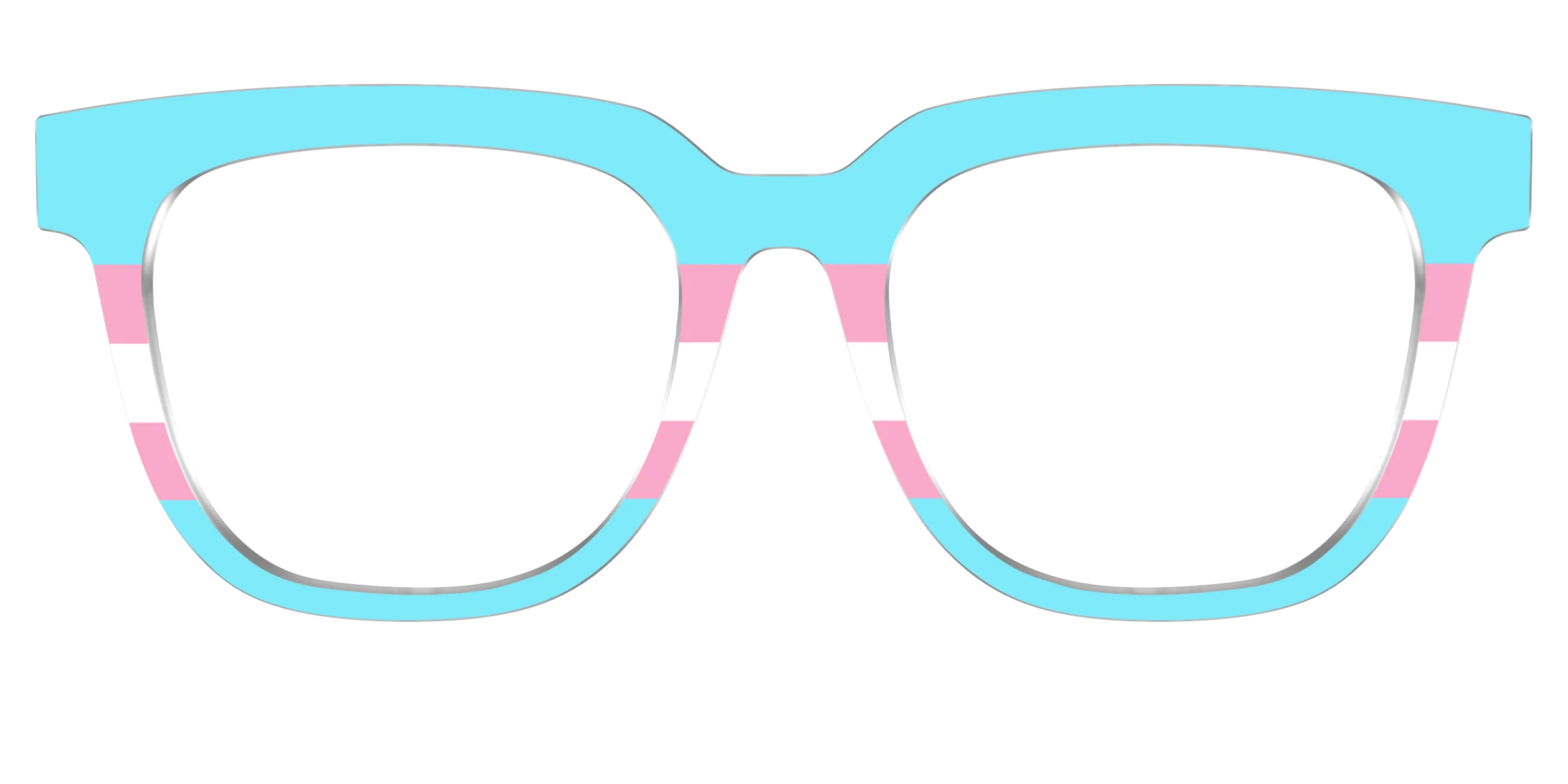 The Transgender Flag - Image 37