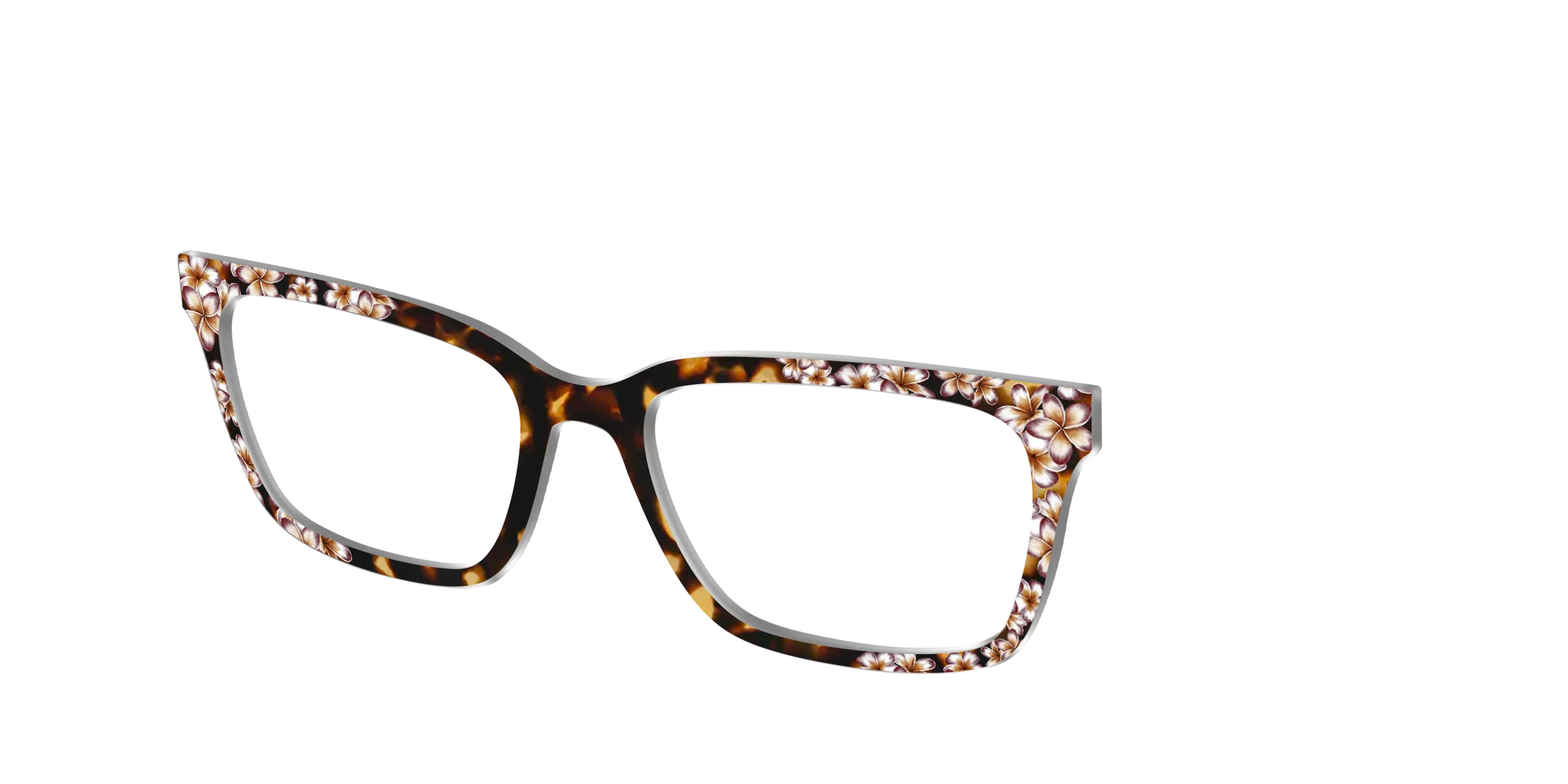 The Tropical Tortoise - Image 10