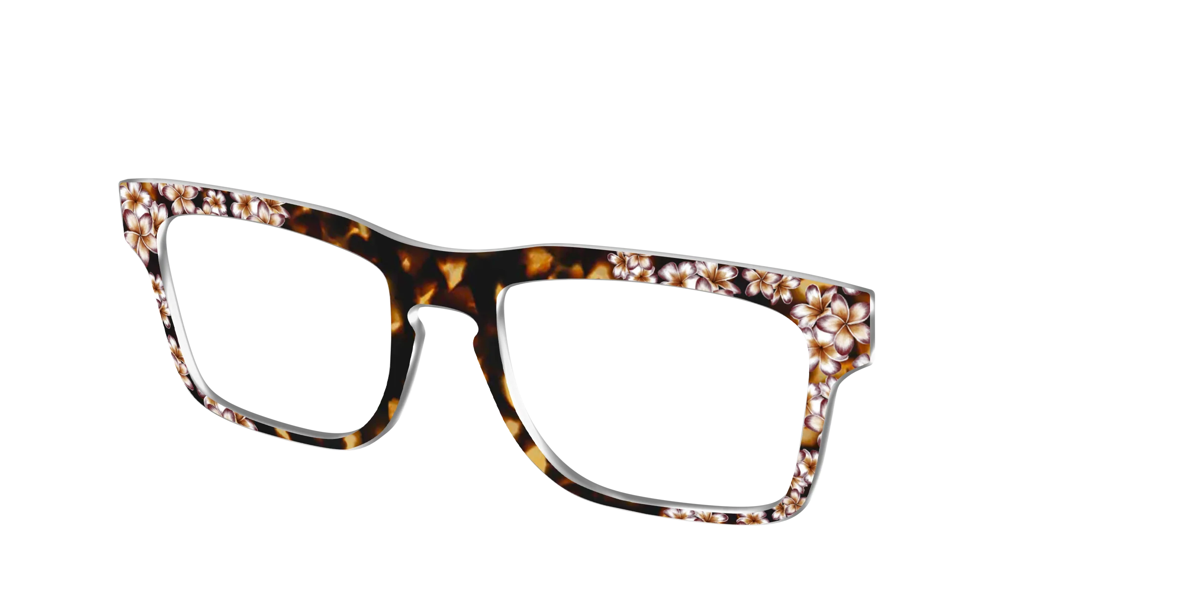 The Tropical Tortoise - Image 36