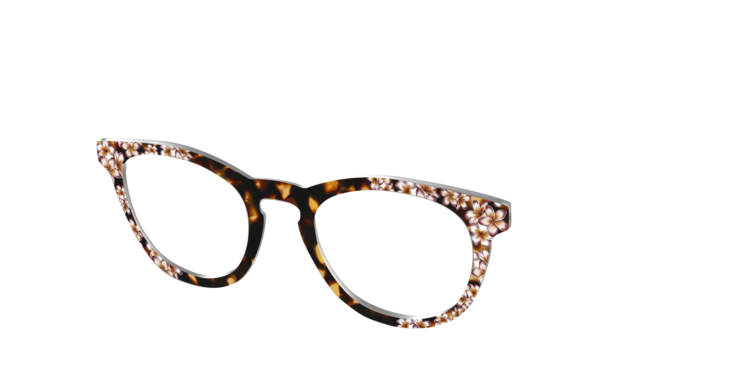 The Tropical Tortoise - Image 4