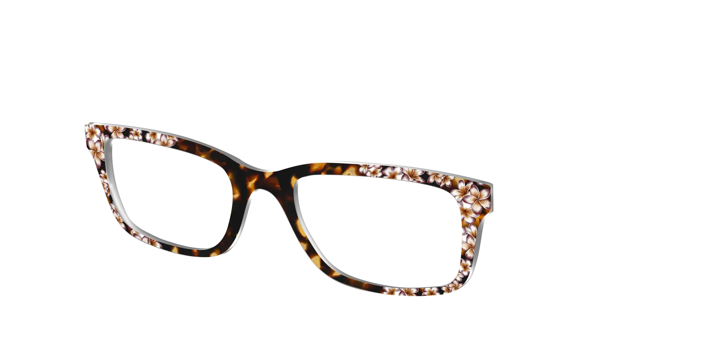 The Tropical Tortoise - Image 6