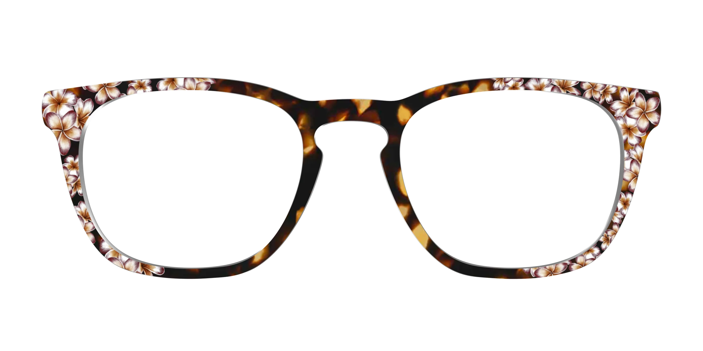 The Tropical Tortoise - Image 7