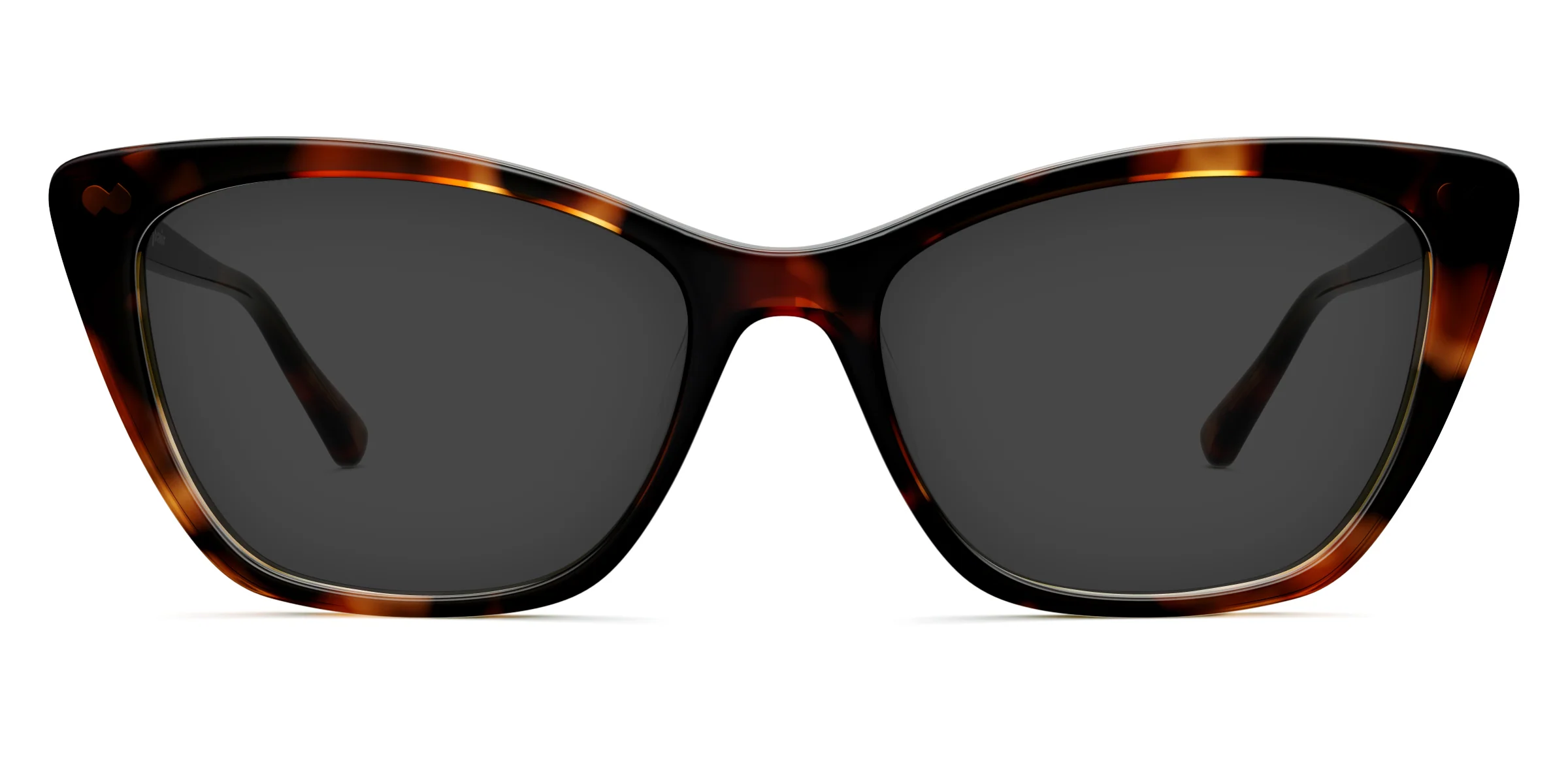 The Wanda - Tortoise - Image 4