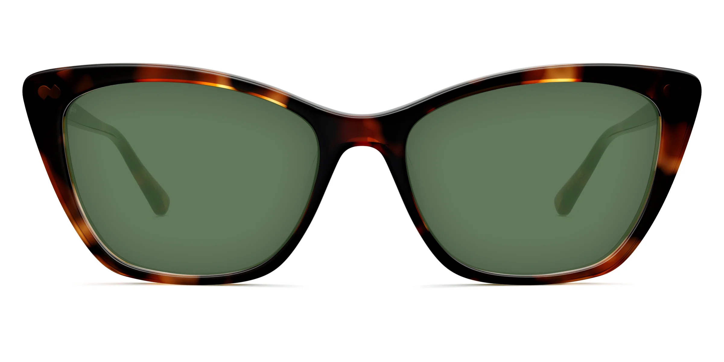 The Wanda - Tortoise - Image 6
