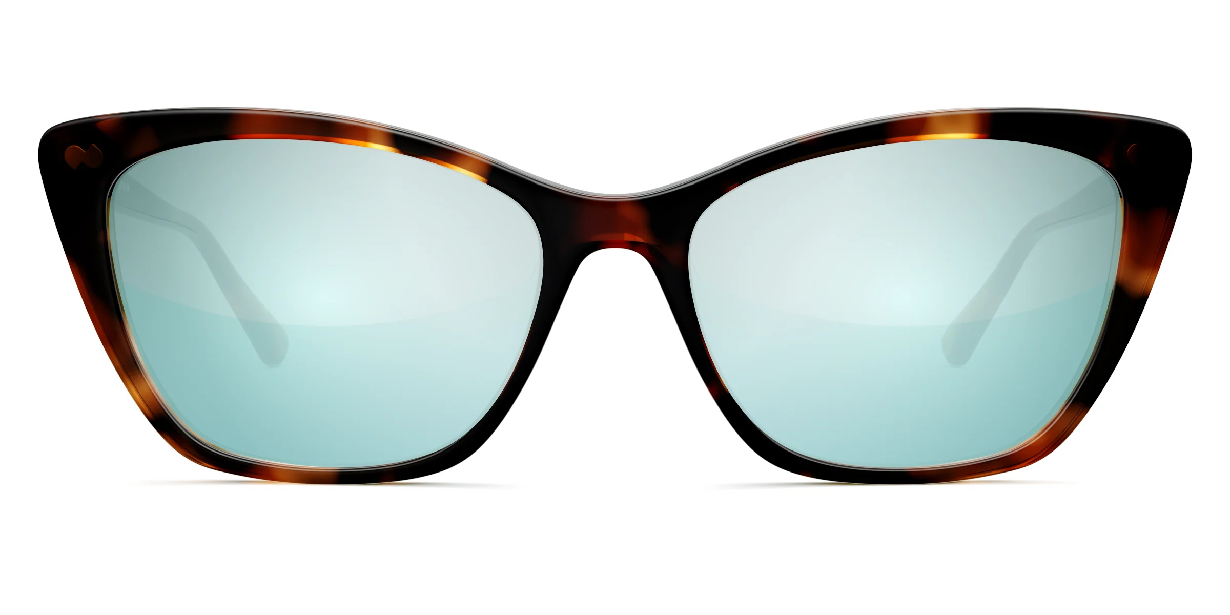 The Wanda - Tortoise - Image 7