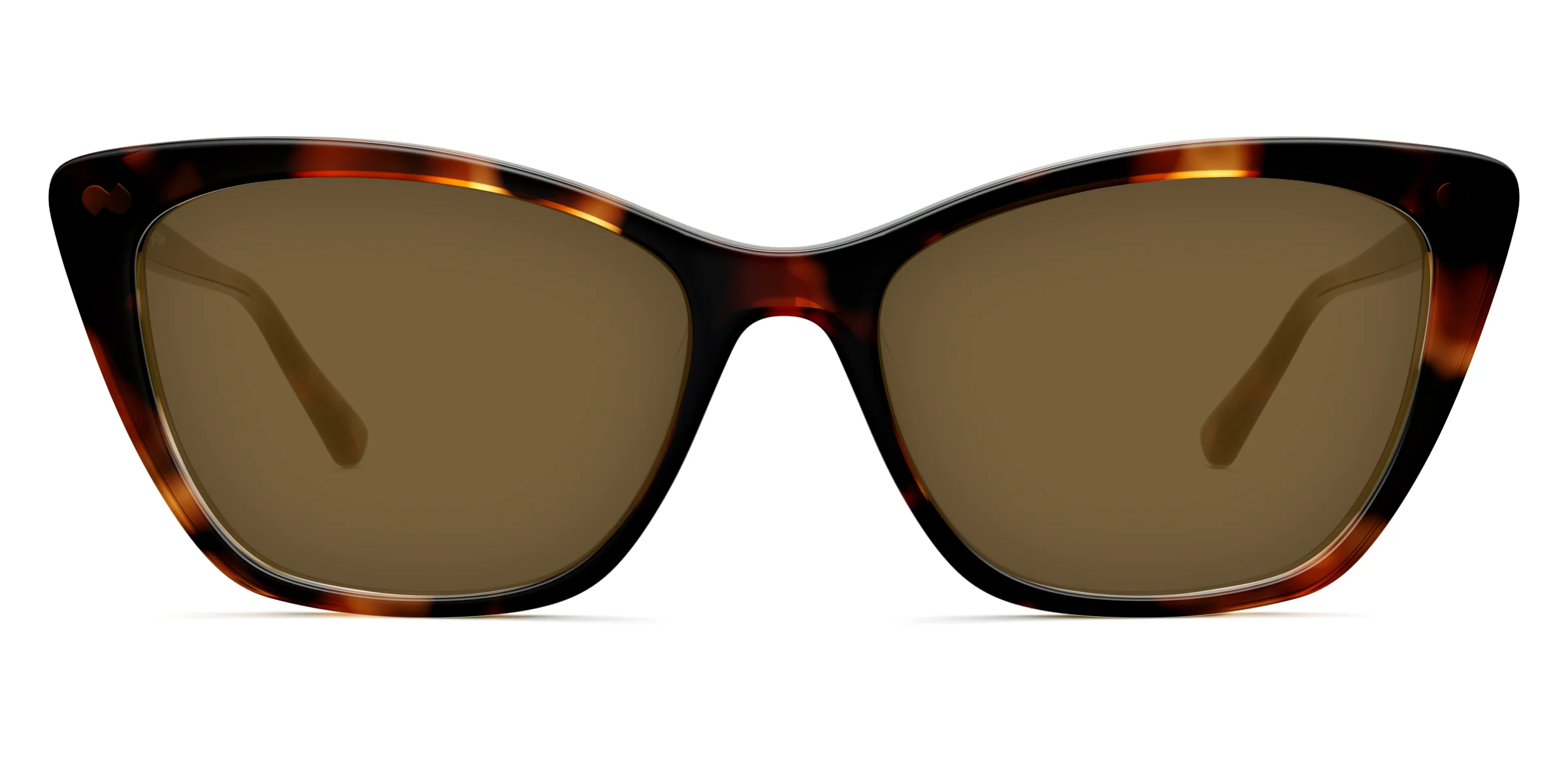 The Wanda - Tortoise Sun - Image 2