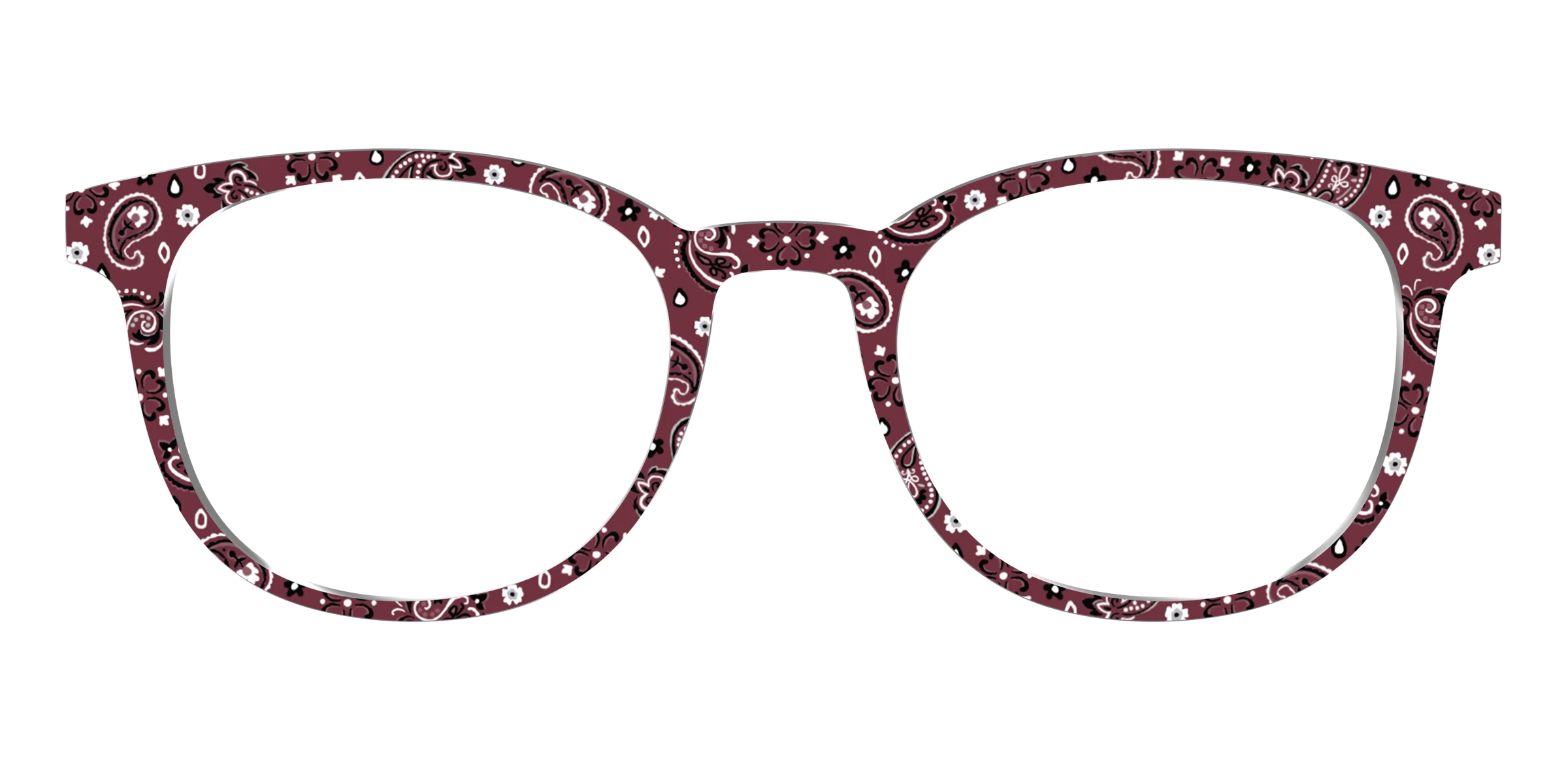 The Western Paisley - Image 15