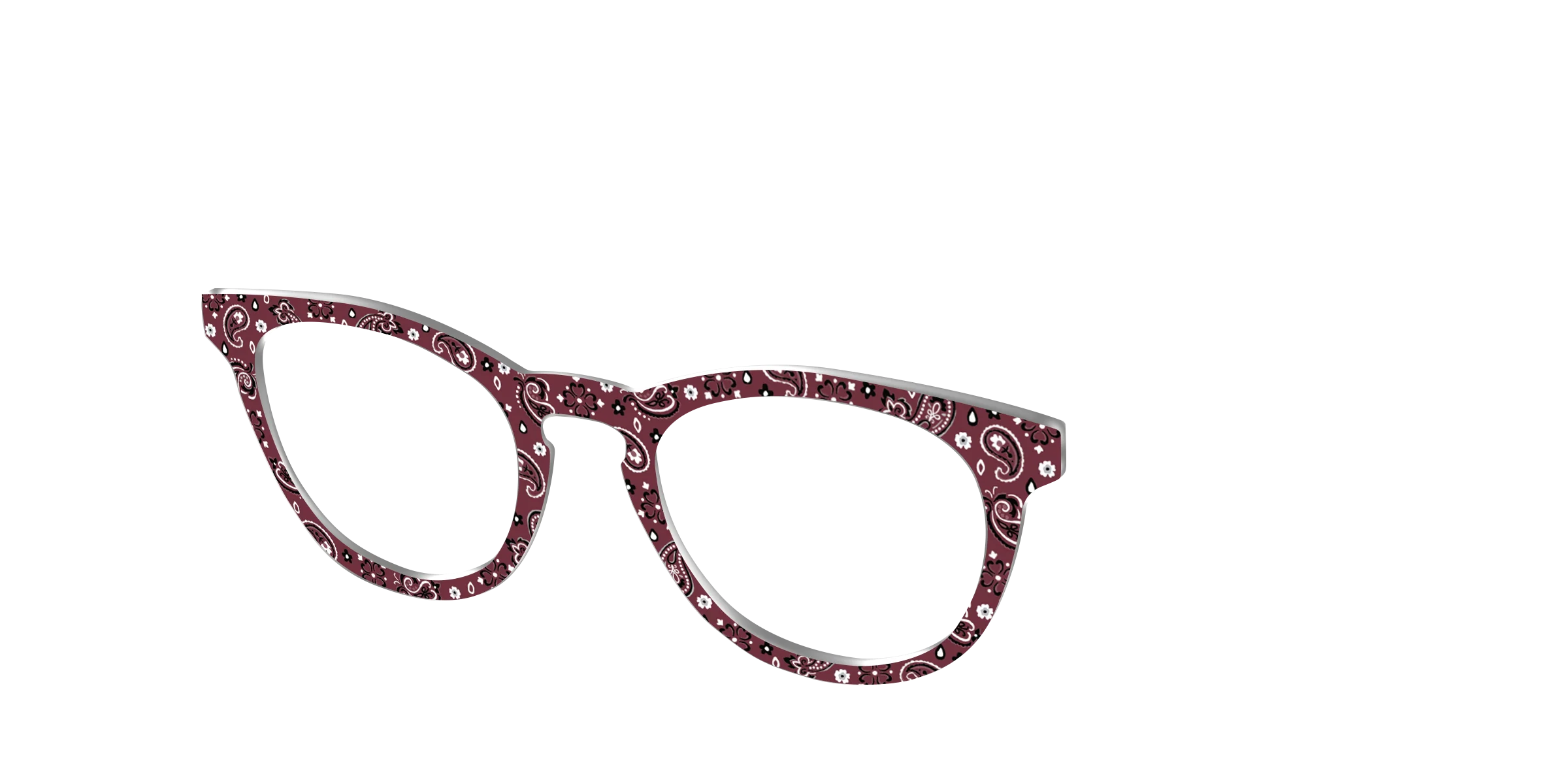 The Western Paisley - Image 4