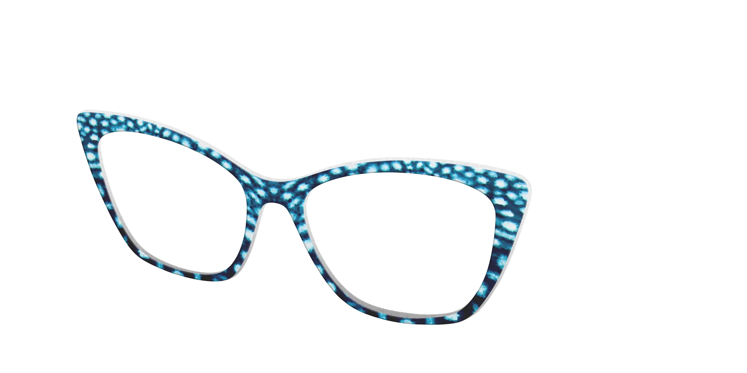 The Whale Shark Spots - Image 26