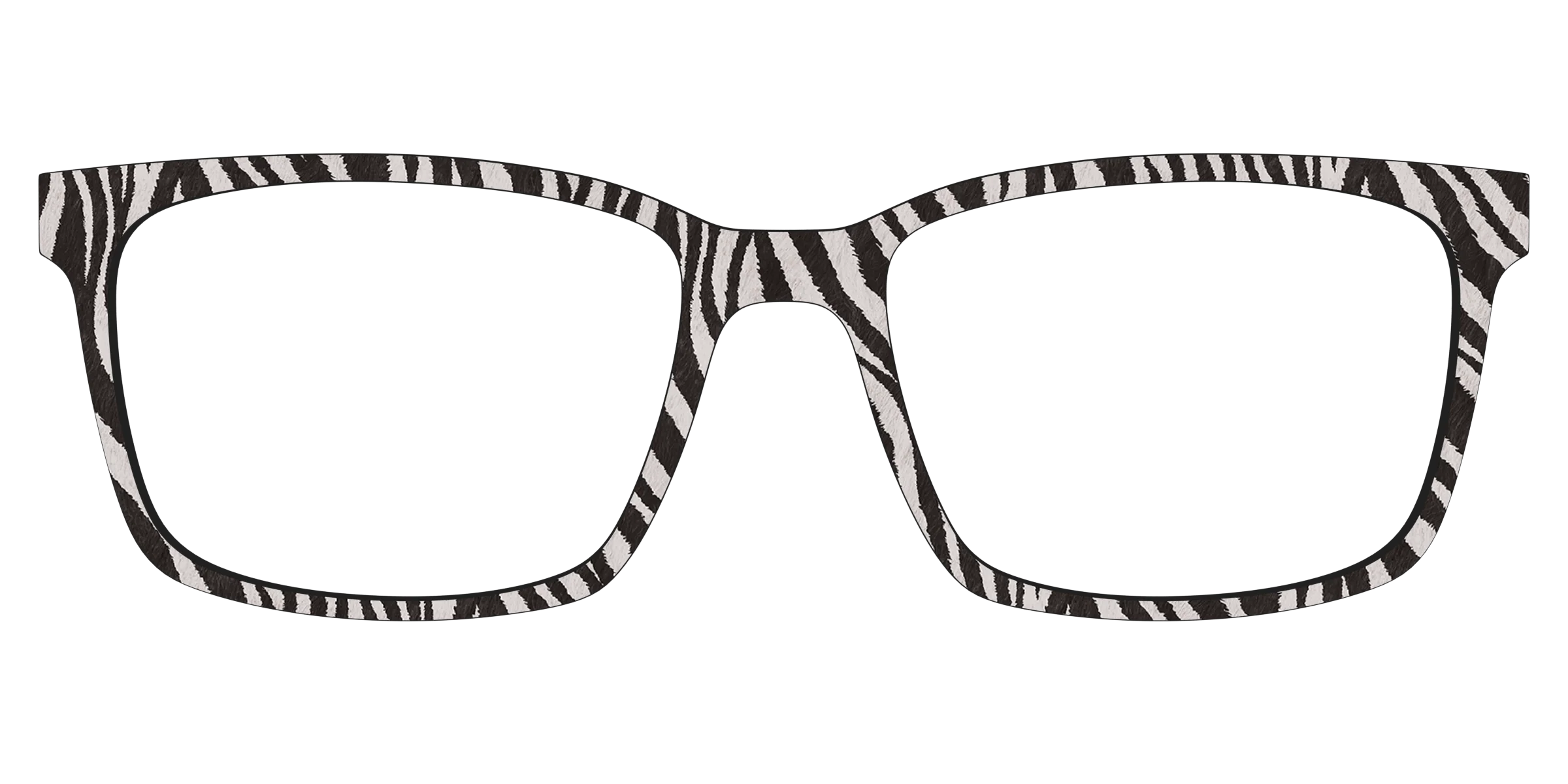The Zebra Stripes - Image 11