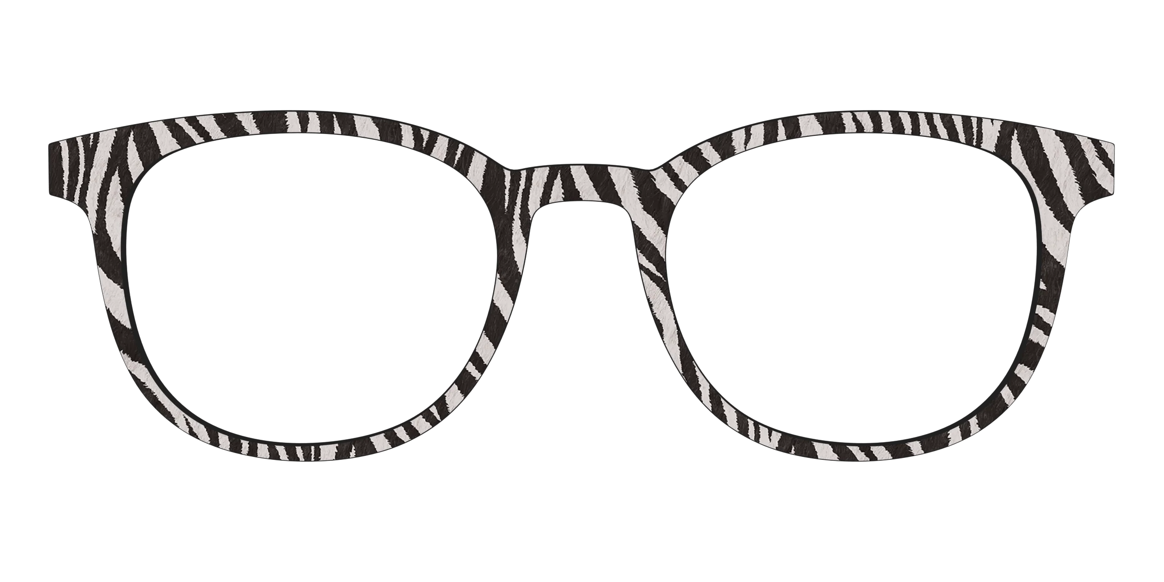 The Zebra Stripes - Image 15
