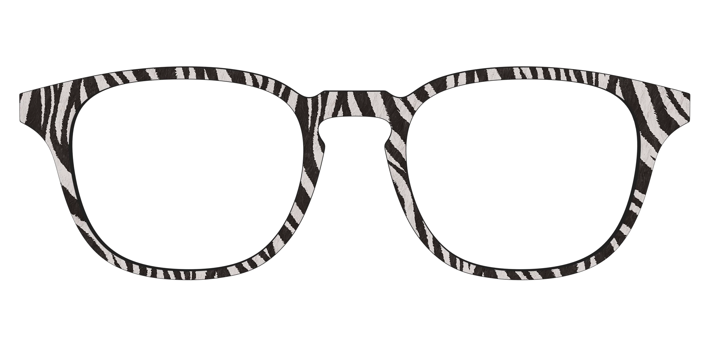 The Zebra Stripes - Image 17