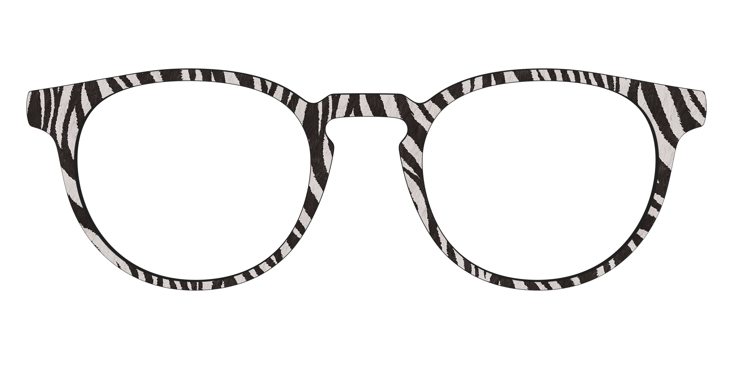 The Zebra Stripes - Image 19