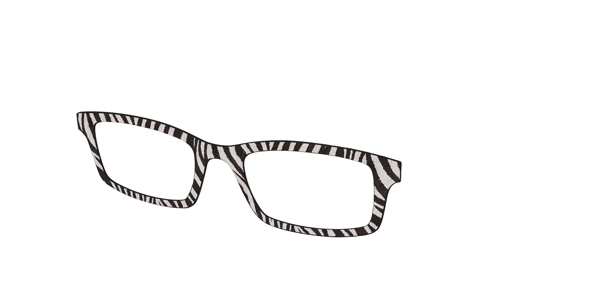 The Zebra Stripes - Image 2