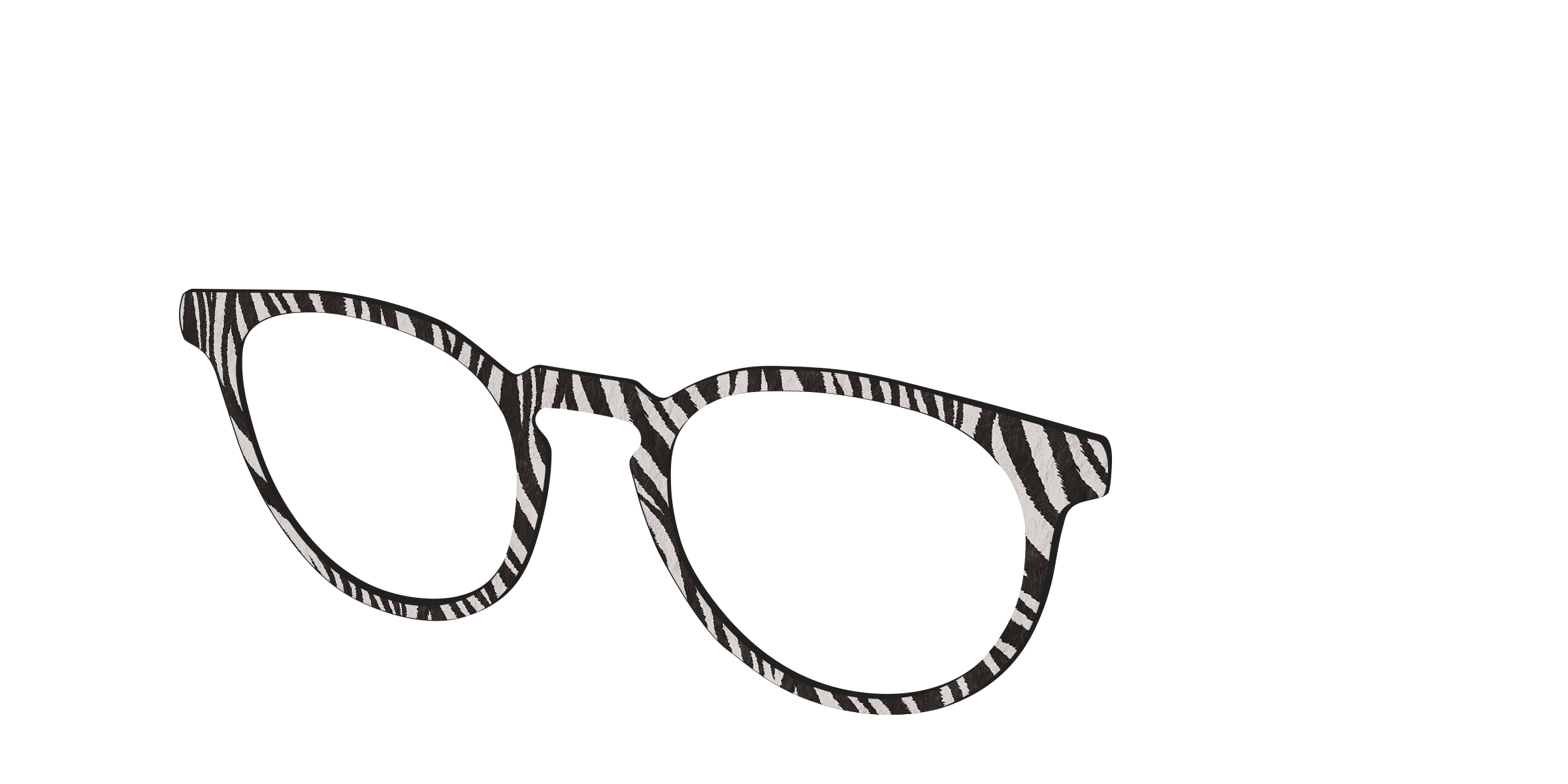 The Zebra Stripes - Image 20
